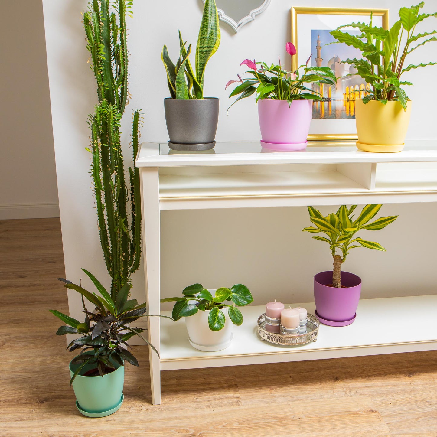 Plant Pots Indoor with Plant Saucer Flower Pots with Mat Surface and Plant Tray