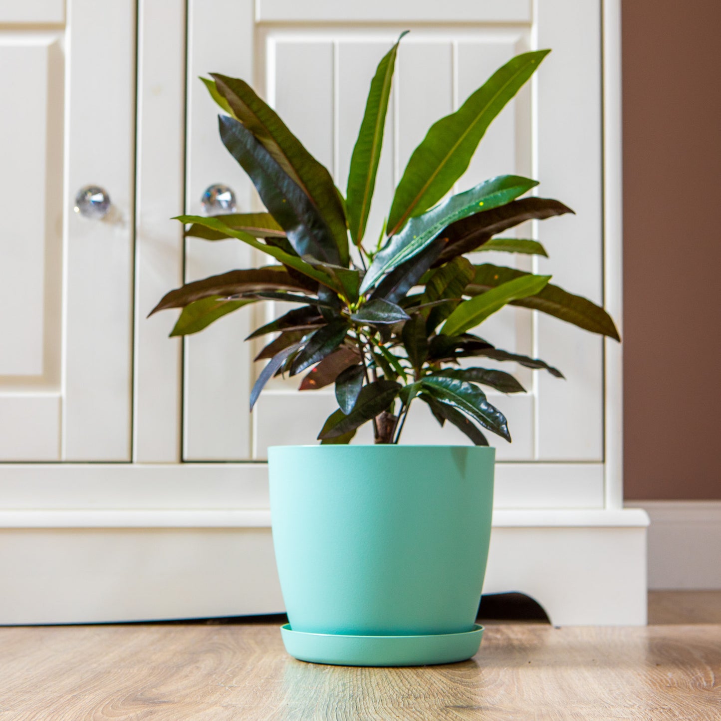 Plant Pots Indoor Set of 5 Sizes 9.5/12/14/16/18cm Matt Surface With Saucer