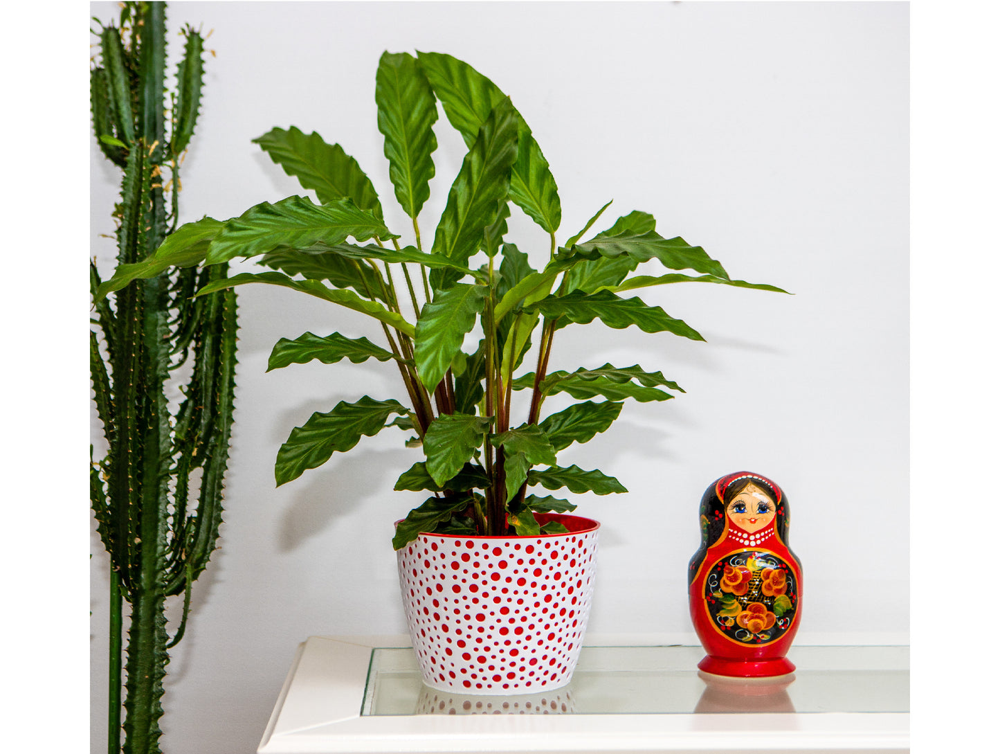 Plant Pots Indoor Vero Set of 3