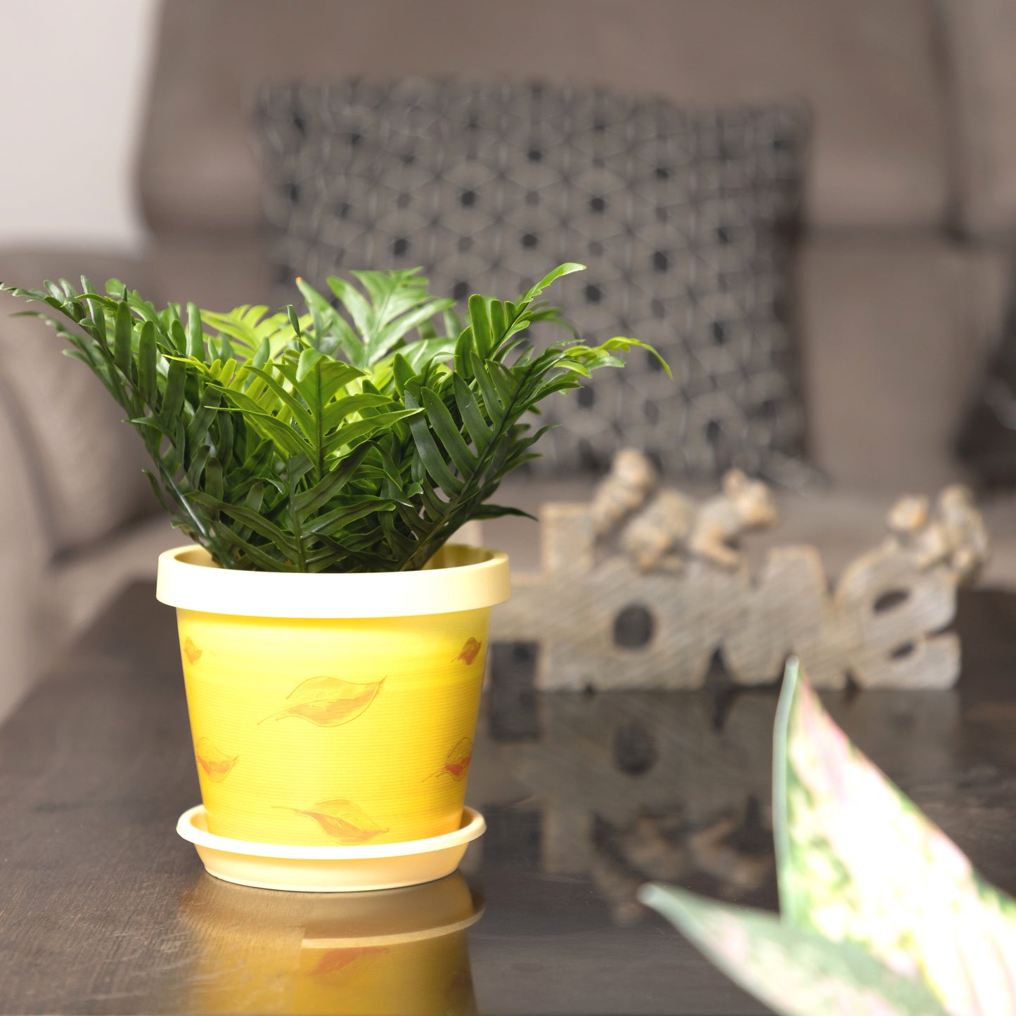 Plant Pots Indoor Keramo Set Of 5 With Saucers Sizes 13/15/17/19/22cm