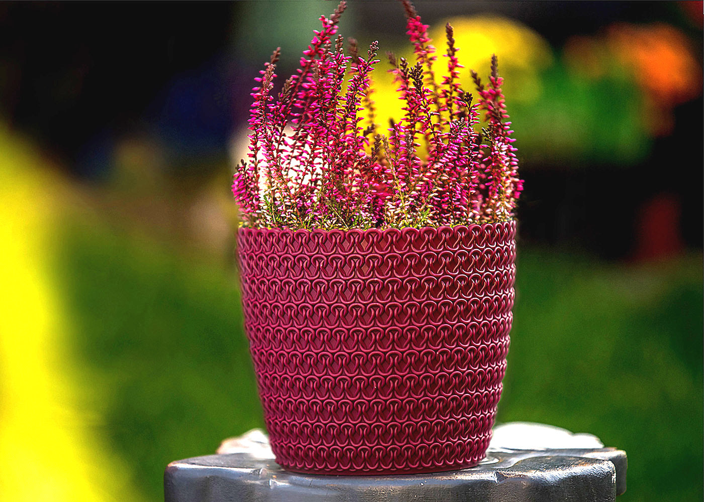 Plant Pots Indoor Jersey Set Of 5 Sizes : 11/14/16/18/21.5cm