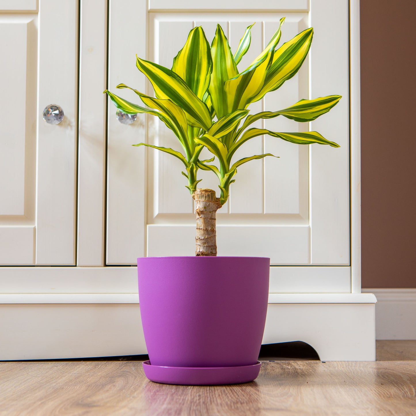 Plant Pots Indoor Matte Surface With Saucer Set of 4 Sizes 14/16/18/20cm
