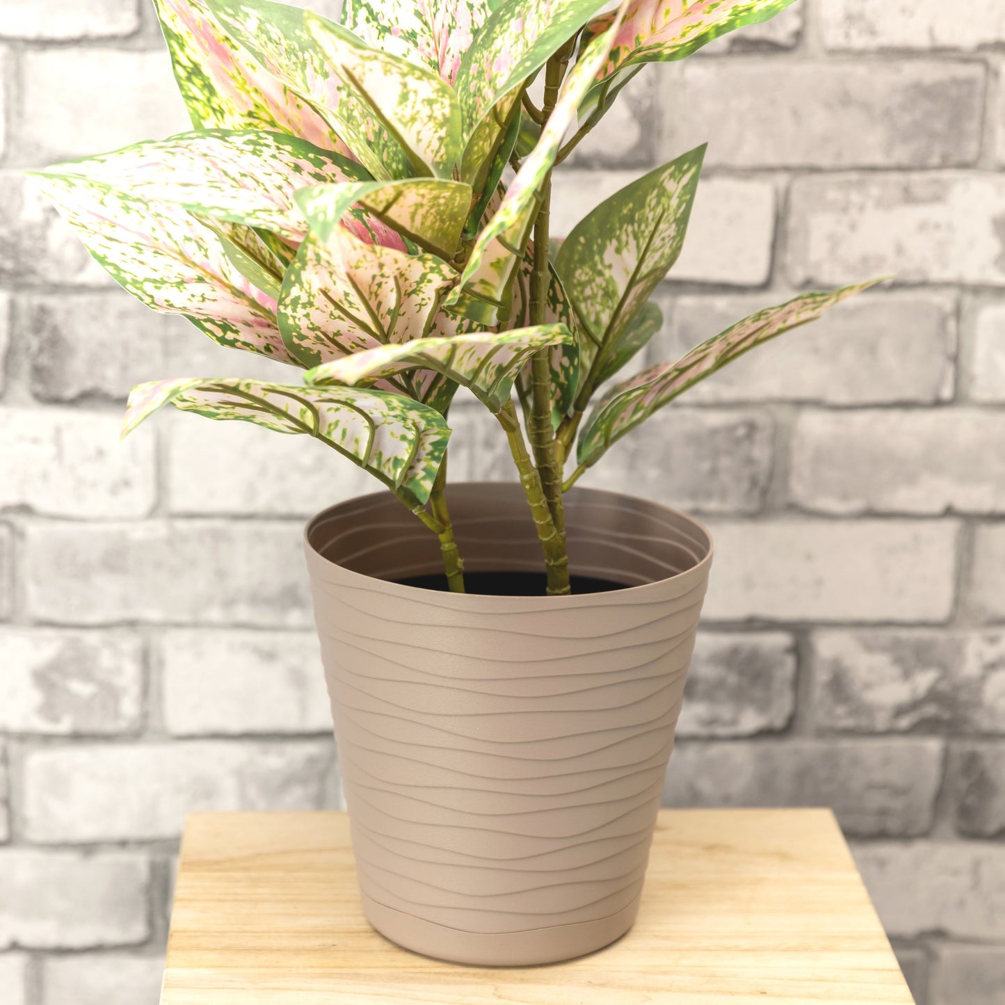 Plant Pots Indoor Tedi Set Of 5 Sizes 13/15/17/19/21cm