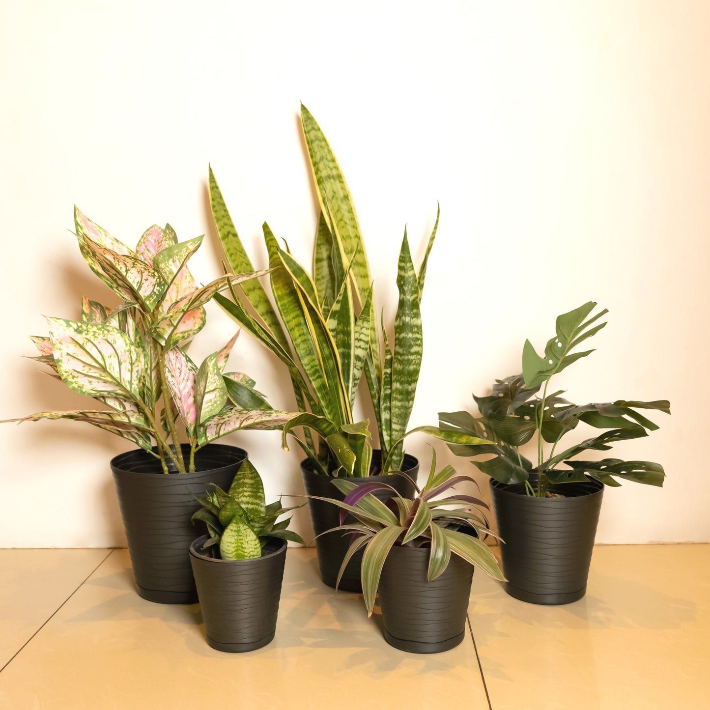 Plant Pots Indoor Tedi Set Of 5 Sizes 13/15/17/19/21cm