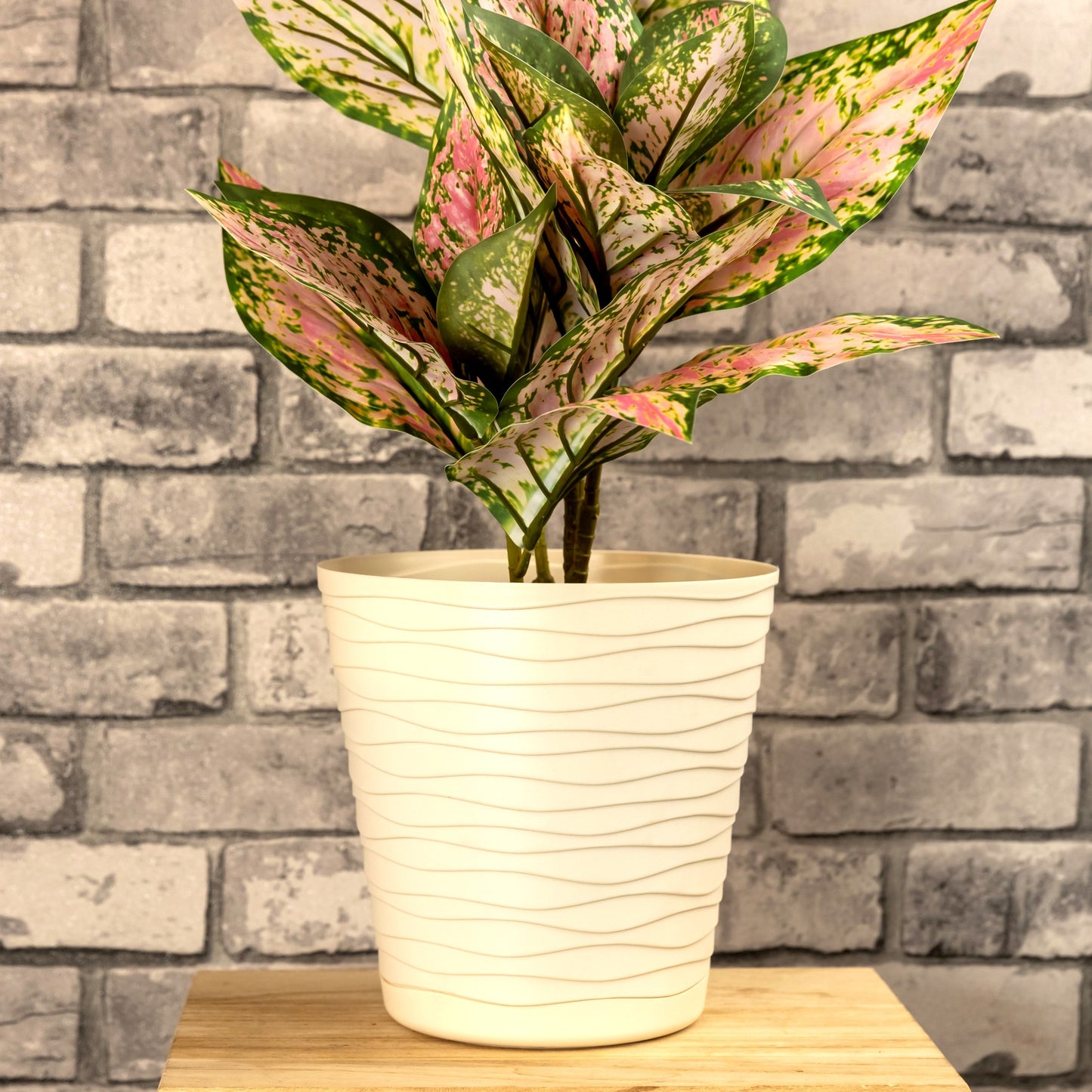 Plant Pots Indoor Tedi Set Of 5 Sizes 13/15/17/19/21cm