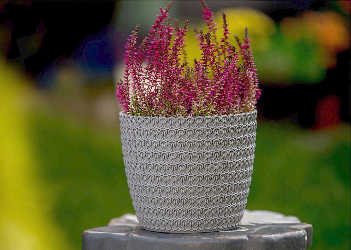 Plant Pots Indoor Jersey Set Of 5 Sizes : 11/14/16/18/21.5cm
