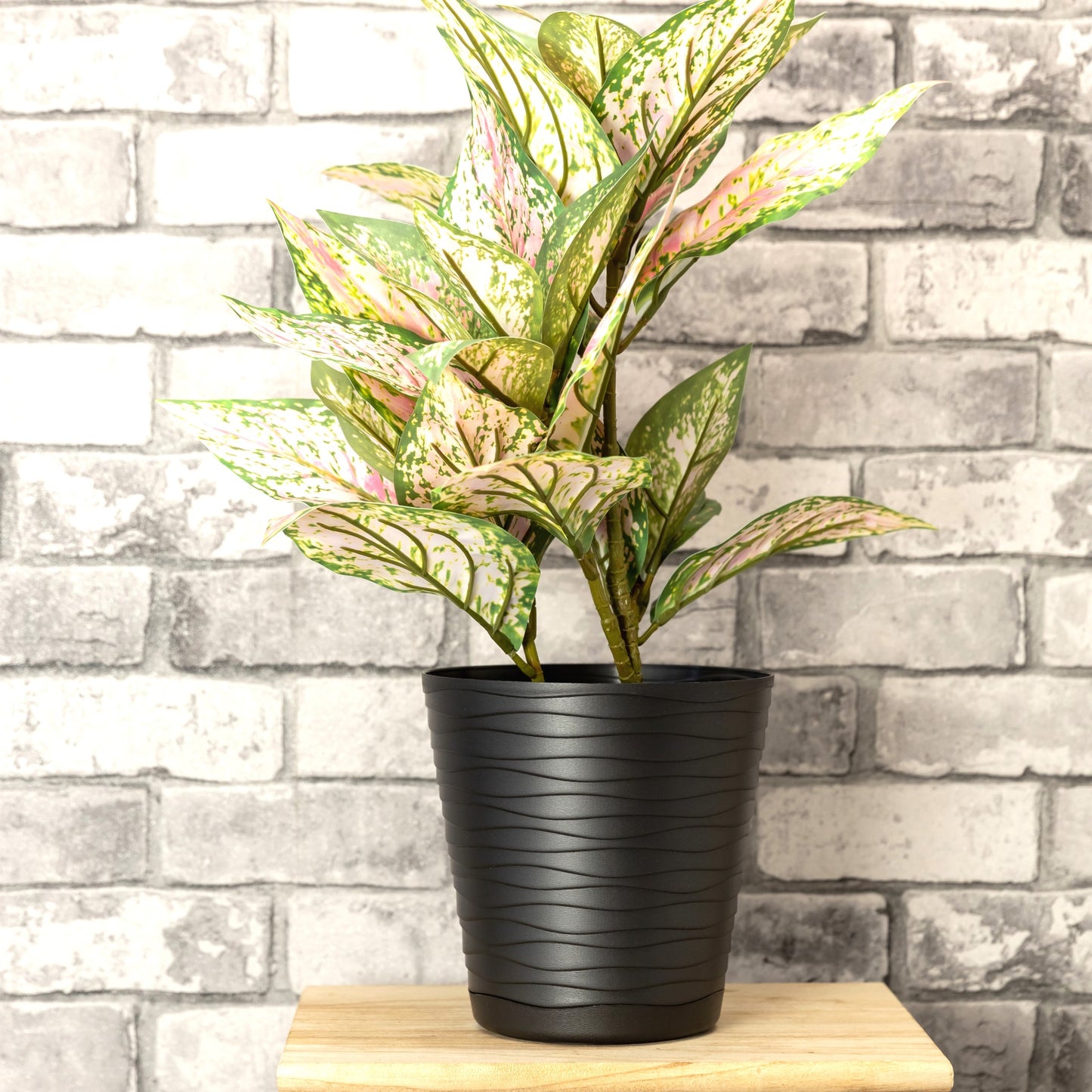 Plant Pots Indoor Tedi Set Of 5 Sizes 13/15/17/19/21cm