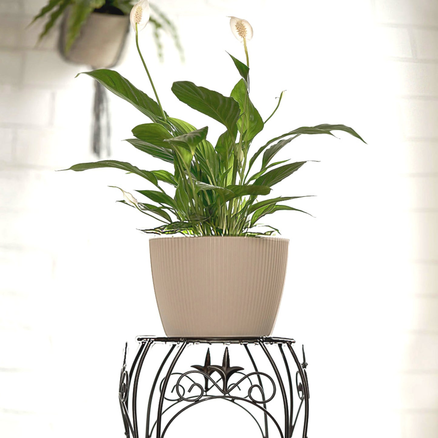 Plant Pots Indoor Set Of 3 Striped Pattern