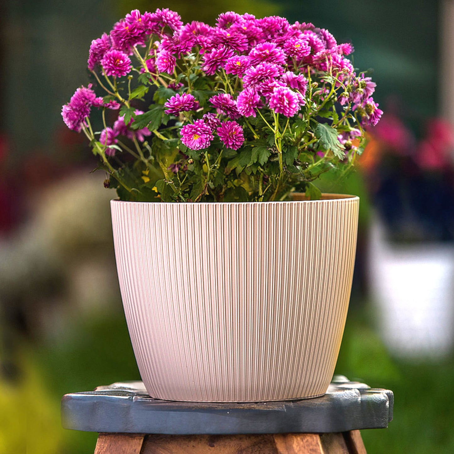 Plant Pots Indoor Set Of 3 Striped Pattern