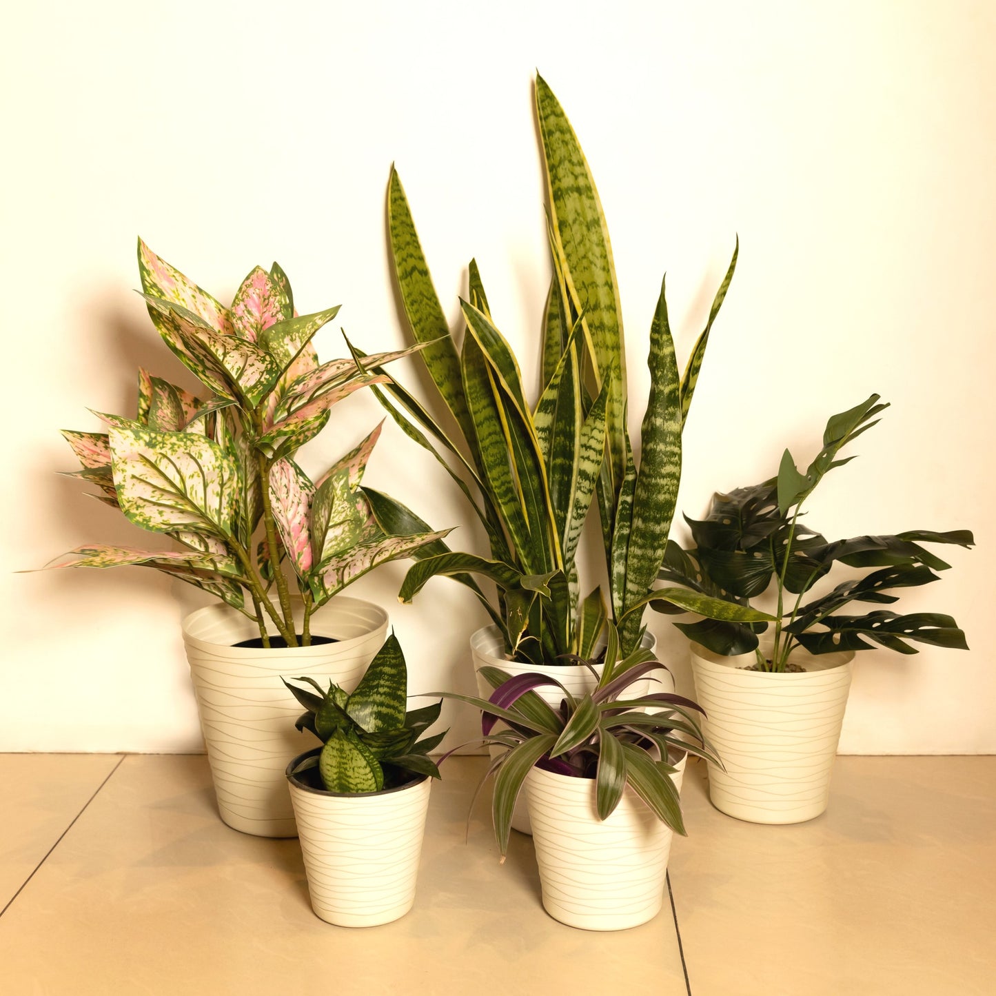 Plant Pots Indoor Tedi Set Of 5 Sizes 13/15/17/19/21cm