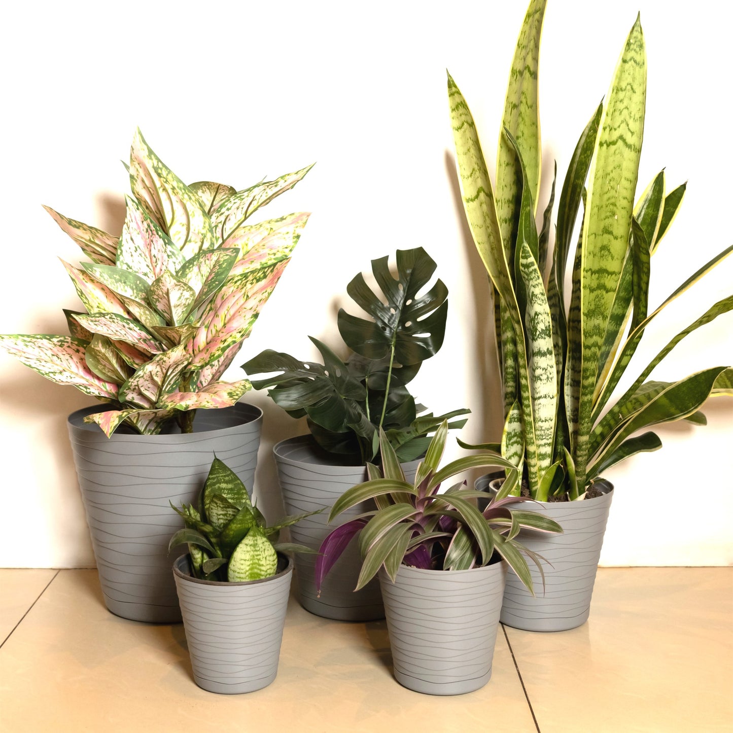Plant Pots Indoor Tedi Set Of 5 Sizes 13/15/17/19/21cm