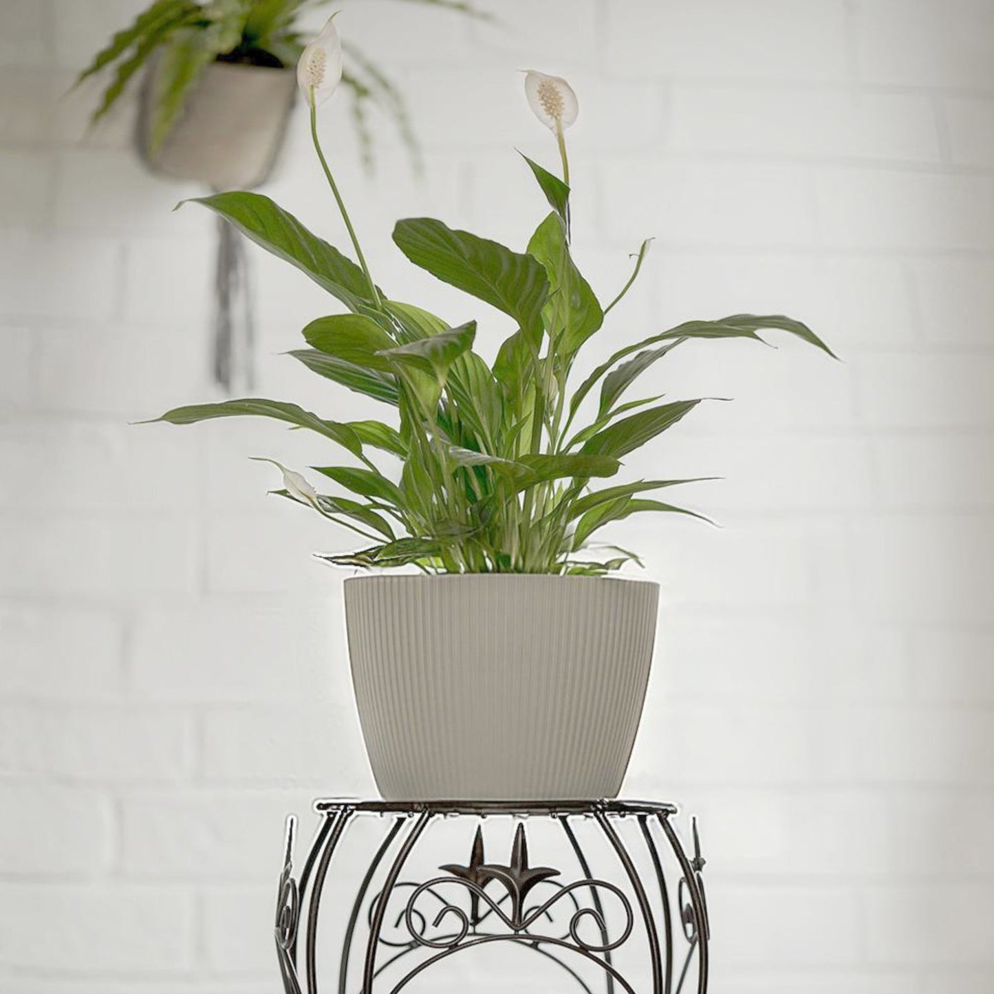 Plant Pots Indoor Striped Decorative Flower Pot Outdoor
