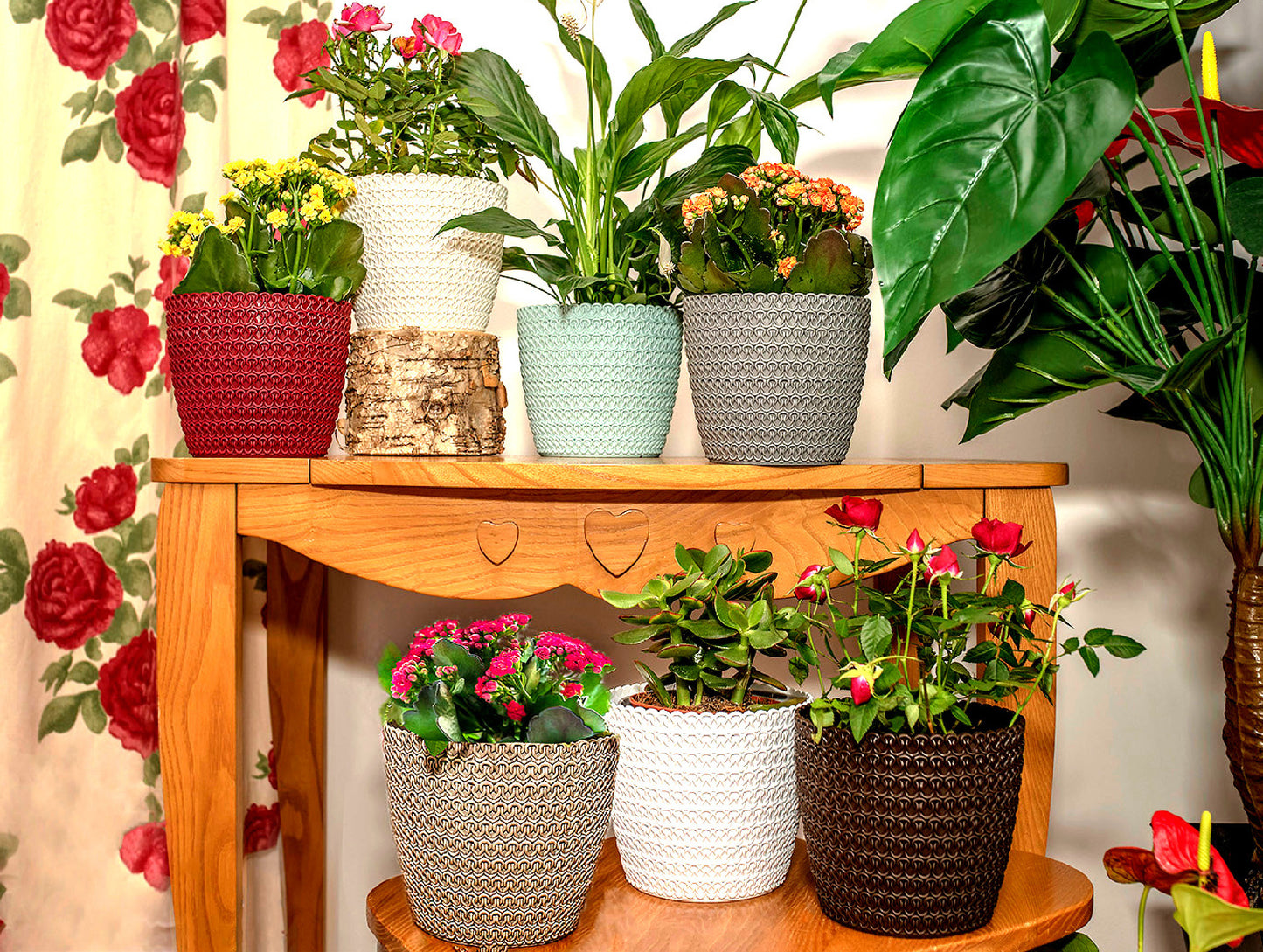 Plant Pots Indoor Jersey Set Of 5 Sizes : 11/14/16/18/21.5cm