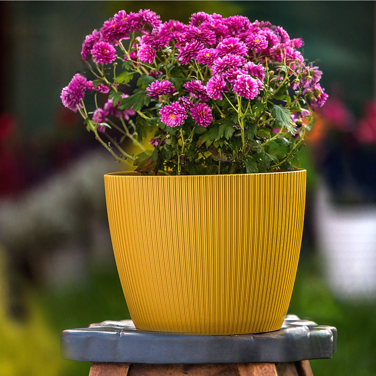 Plant Pots Indoor Set Of 3 Striped Pattern