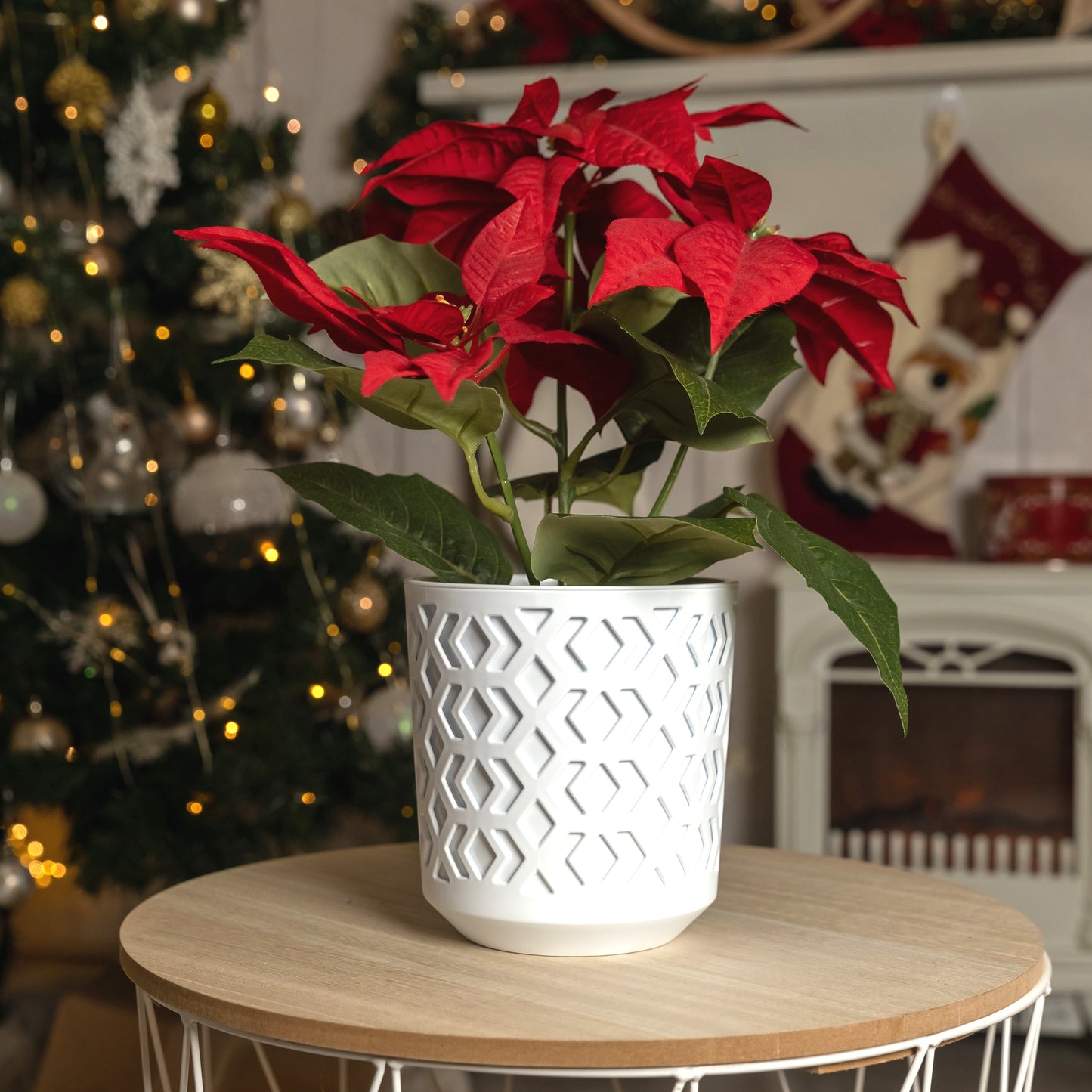Plant Pots Indoor Mixed Decorative Pot + Insert