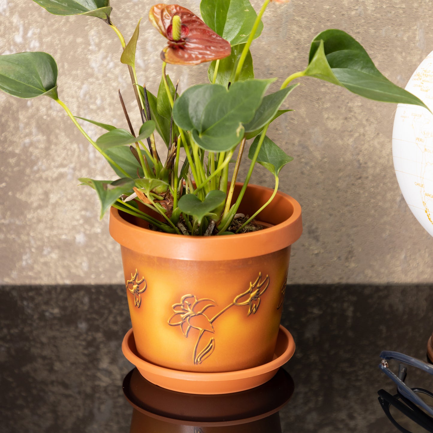 Plant Pots Indoor Keramo Set Of 5 With Saucers Sizes 13/15/17/19/22cm