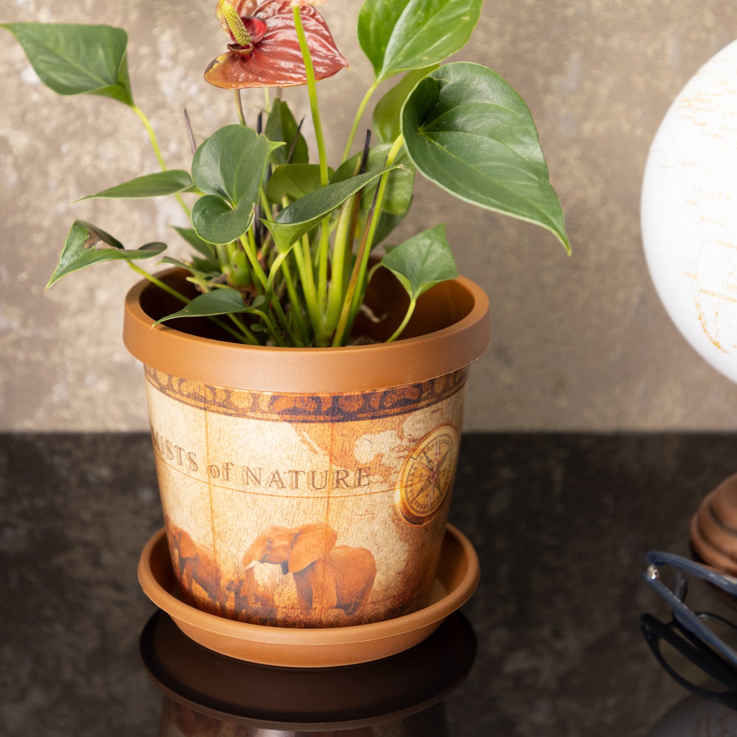 Plant Pots Indoor Keramo Set Of 5 With Saucers Sizes 13/15/17/19/22cm