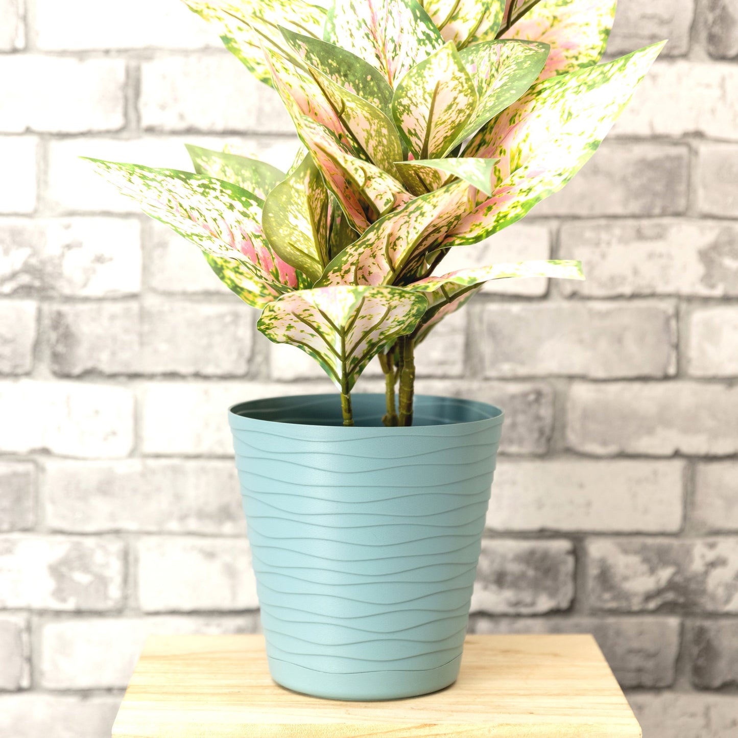 Plant Pots Indoor Tedi Set Of 5 Sizes 13/15/17/19/21cm
