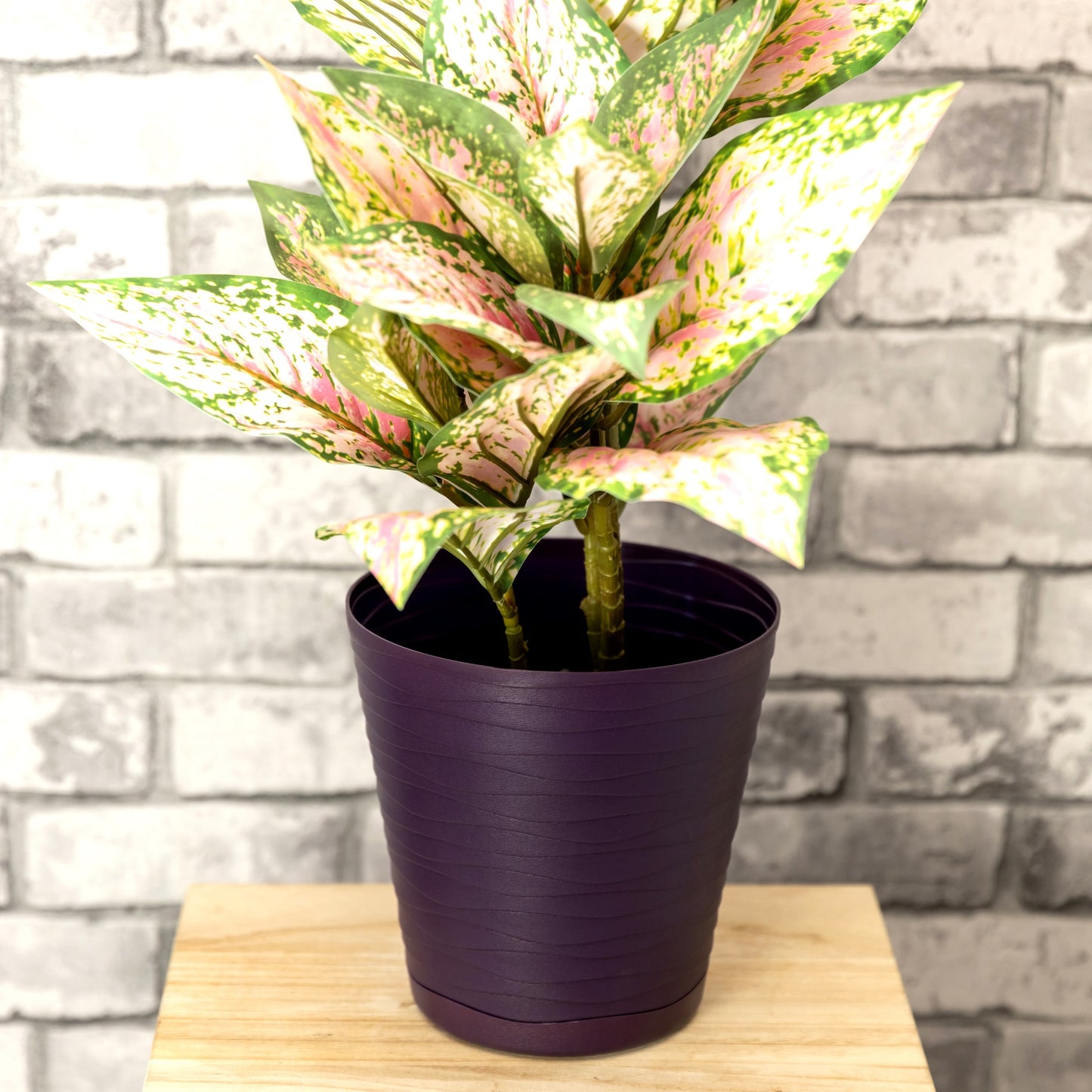 Plant Pots Indoor Tedi Set Of 5 Sizes 13/15/17/19/21cm