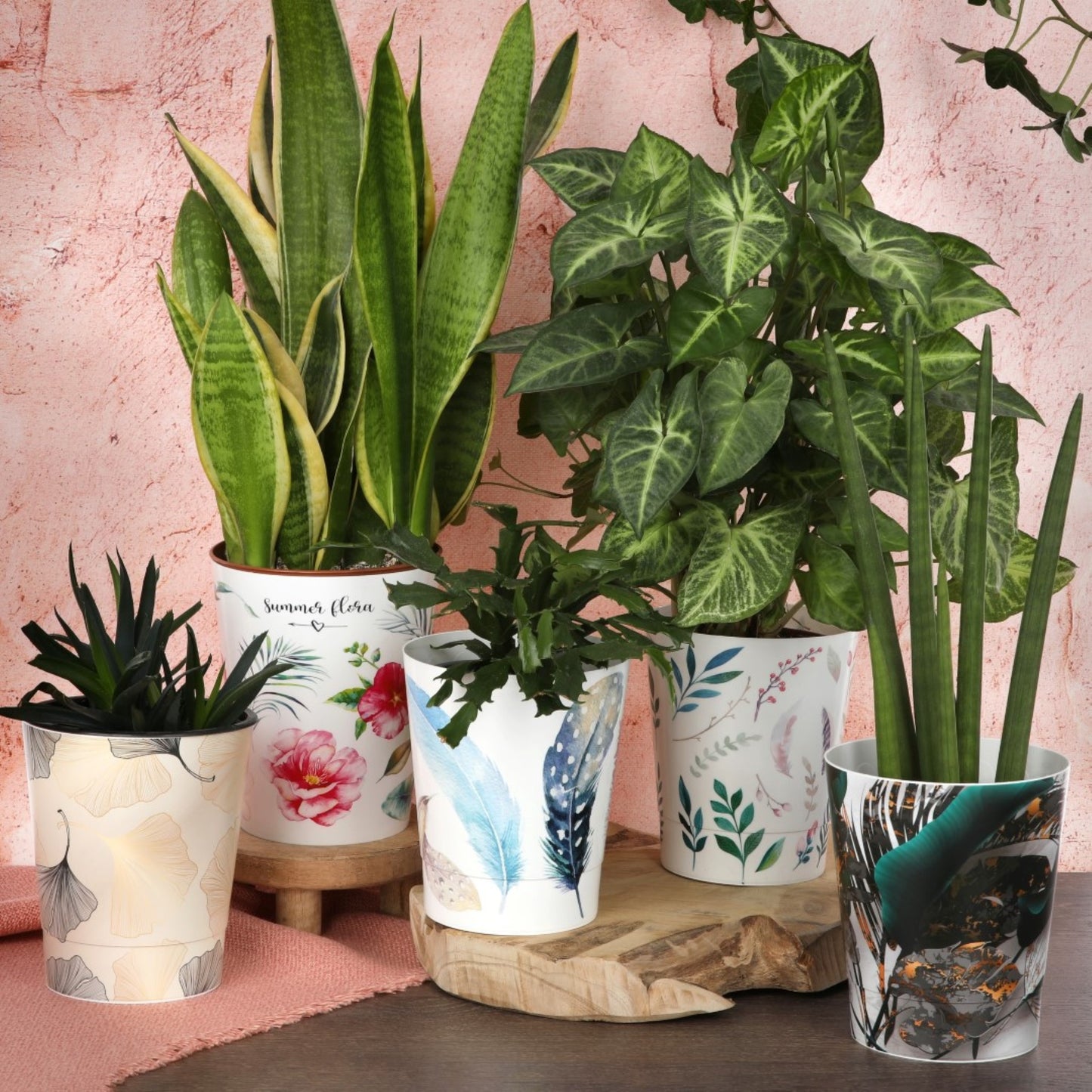 Plant Pots For Orchids 15.5cm Set Of 3 Exotic Pattern