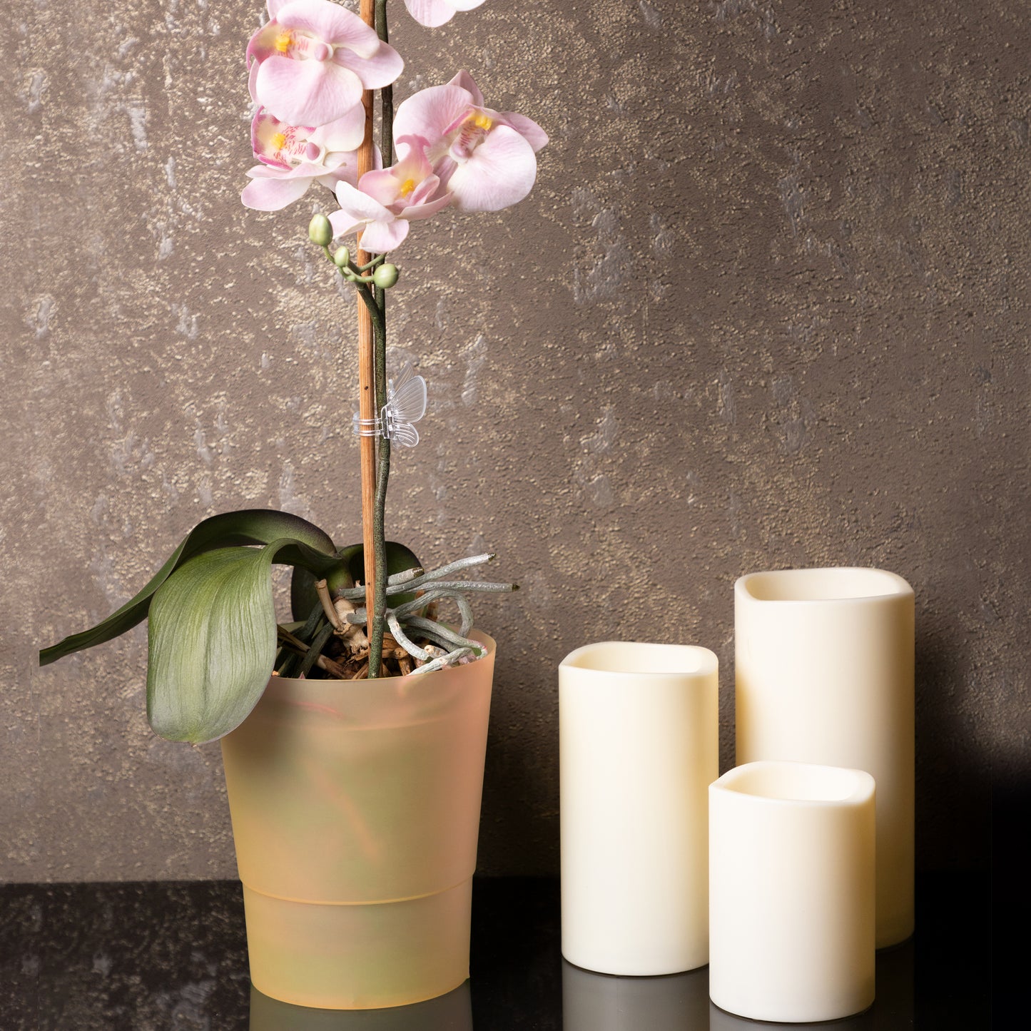 Plant Pots Indoor 12cm Diameter Set of 3 Plastic Plant Pot For Orchids Half Transparent