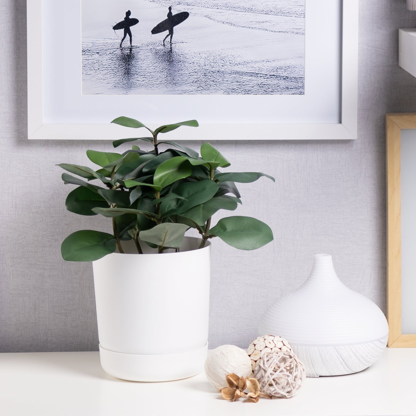 Classy Plant Pots Indoor Plastic Plant Pot with Integrated Plant Saucer