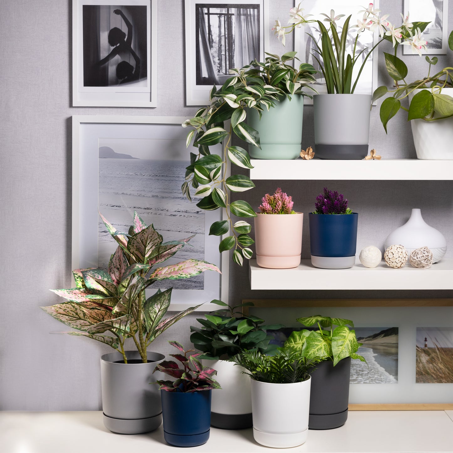 Classy Plant Pots Indoor Plastic Plant Pot with Integrated Plant Saucer