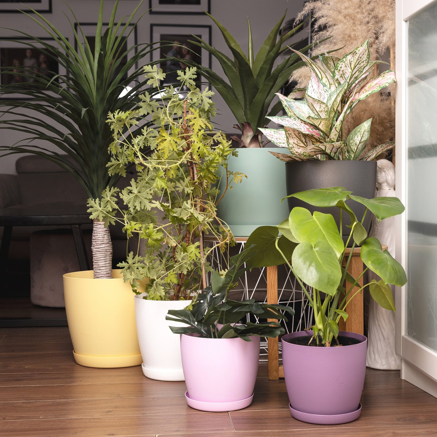 Plant Pots Indoor Set of 5 Sizes 9.5/12/14/16/18cm Matt Surface With Saucer