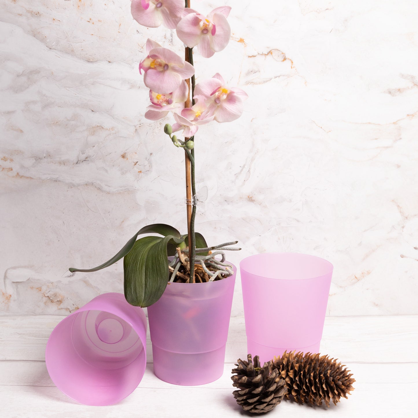 Plant Pots Indoor 12cm Diameter Set of 3 Plastic Plant Pot For Orchids Half Transparent