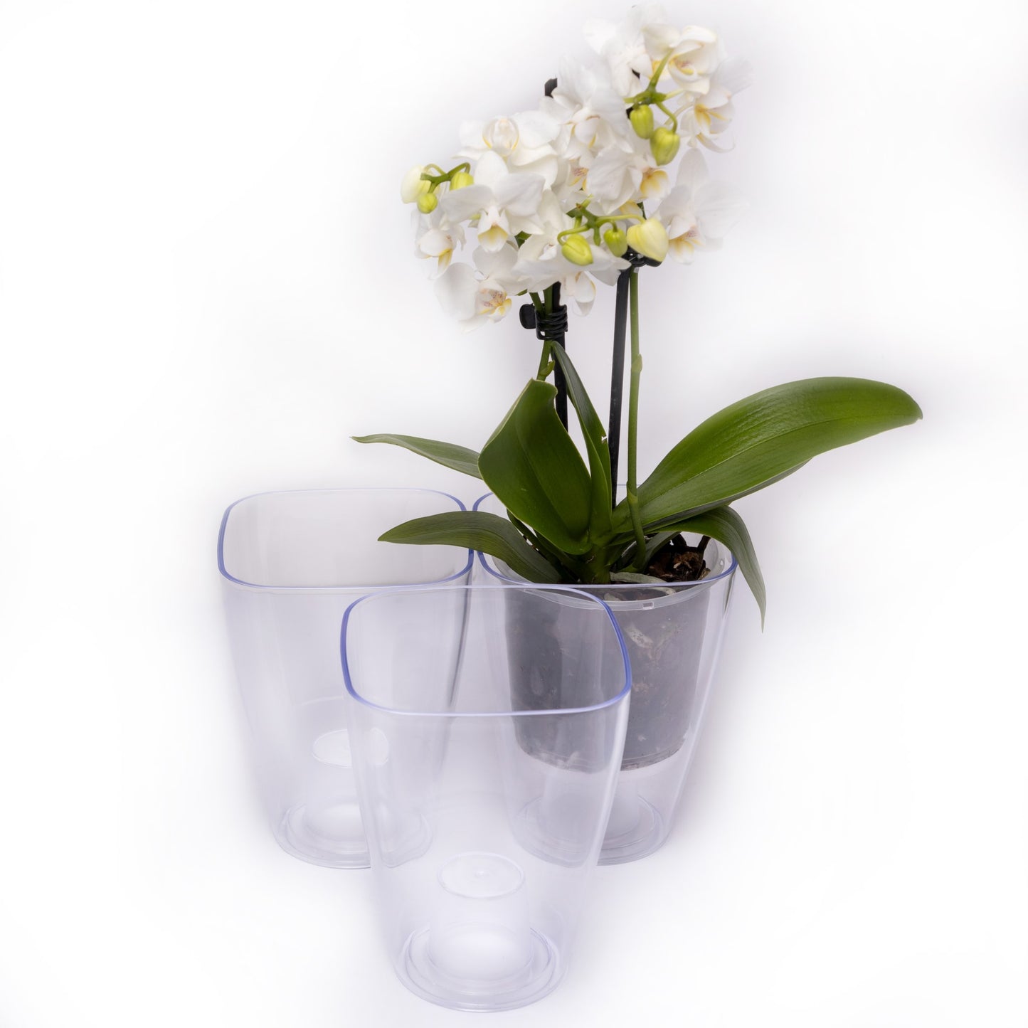 Plant Pots For Orchids Set Of 3 Transparent Square