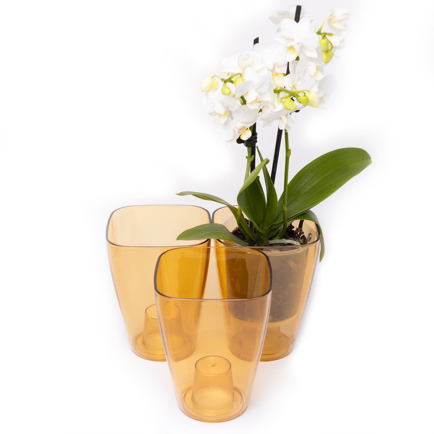 Plant Pots For Orchids Set Of 3 Transparent Square