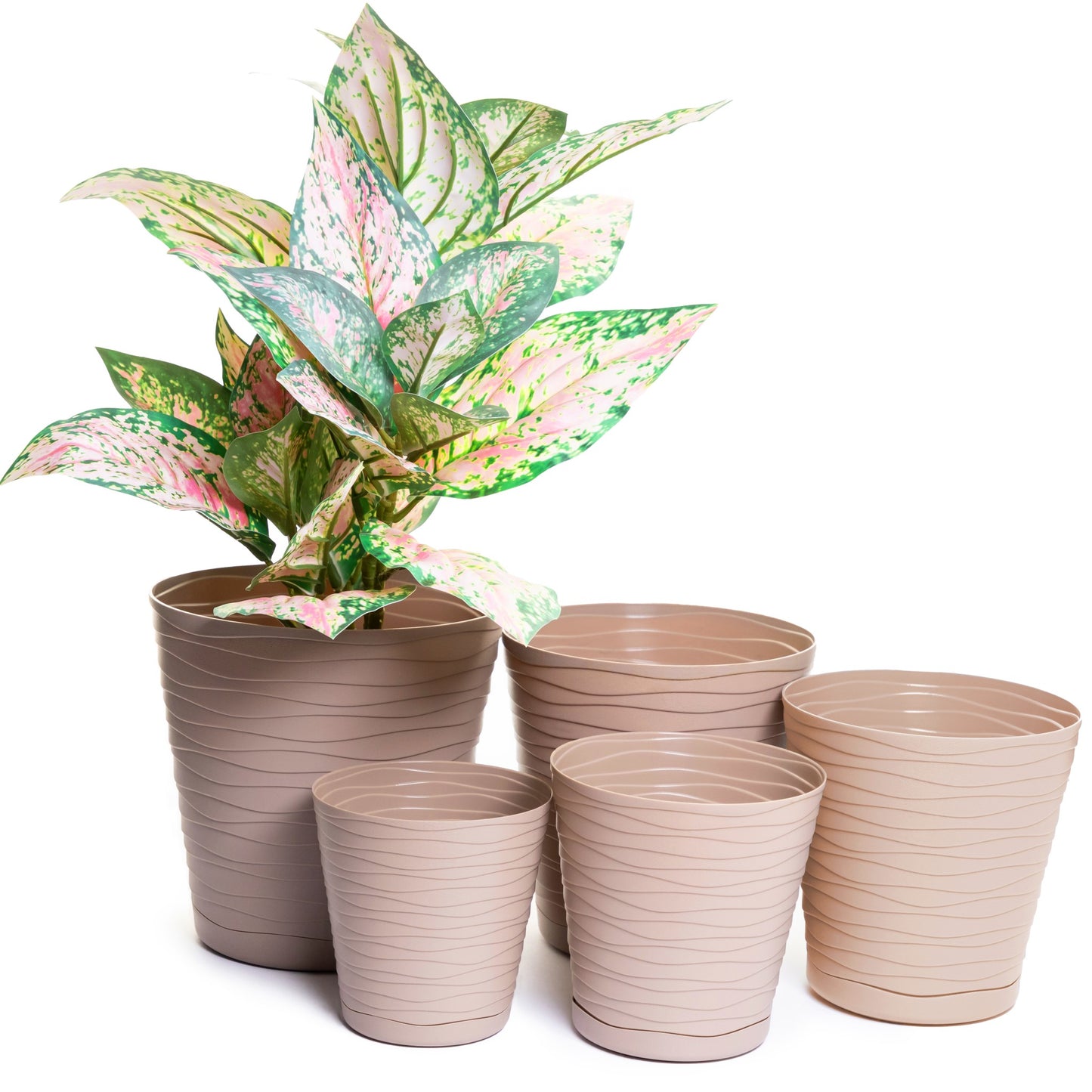 Plant Pots Indoor Tedi Set Of 5 Sizes 13/15/17/19/21cm