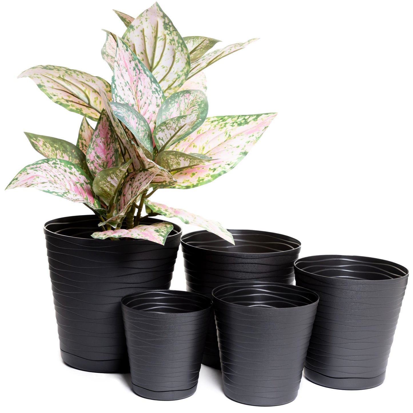 Plant Pots Indoor Tedi Set Of 5 Sizes 13/15/17/19/21cm