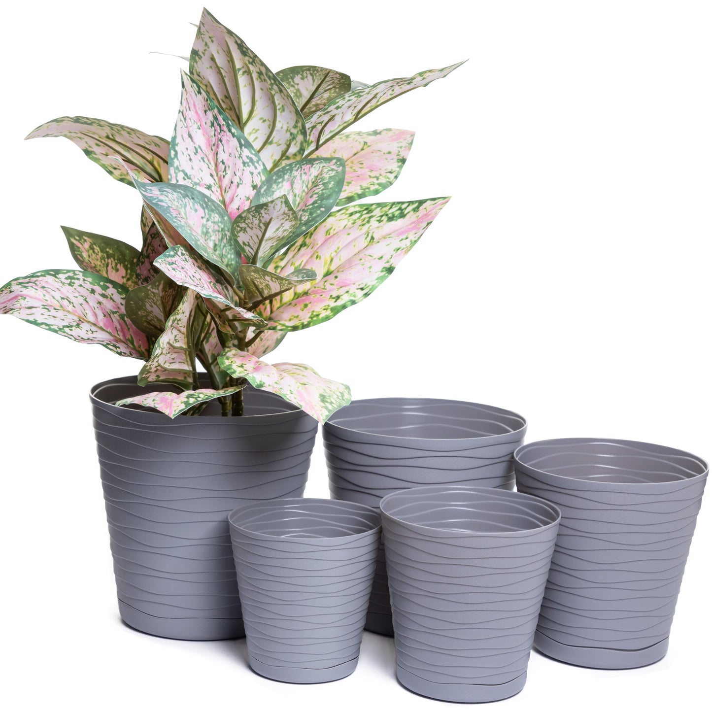 Plant Pots Indoor Tedi Set Of 5 Sizes 13/15/17/19/21cm