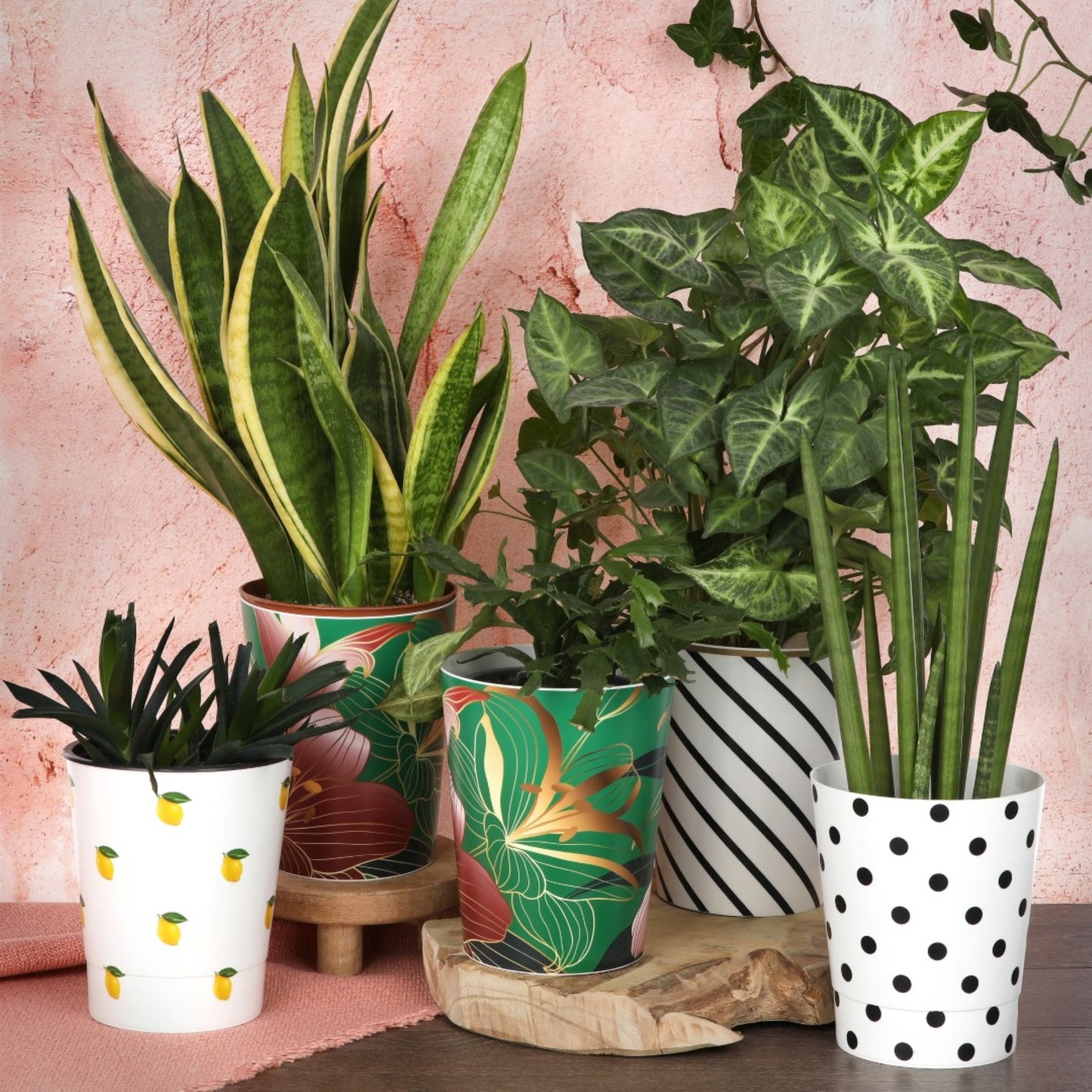 Plant Pots For Orchids 15.5cm Set Of 3 Exotic Pattern