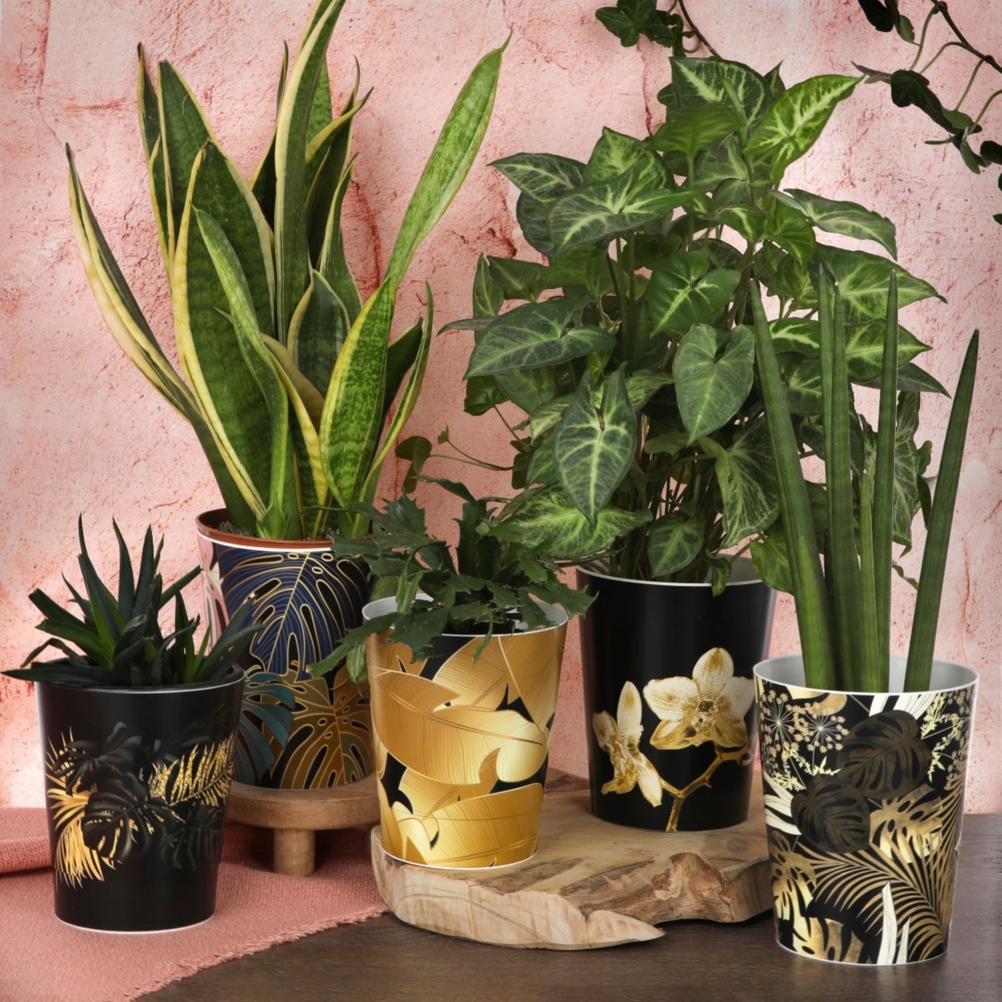 Plant Pots For Orchids 15.5cm Set Of 3 Exotic Pattern