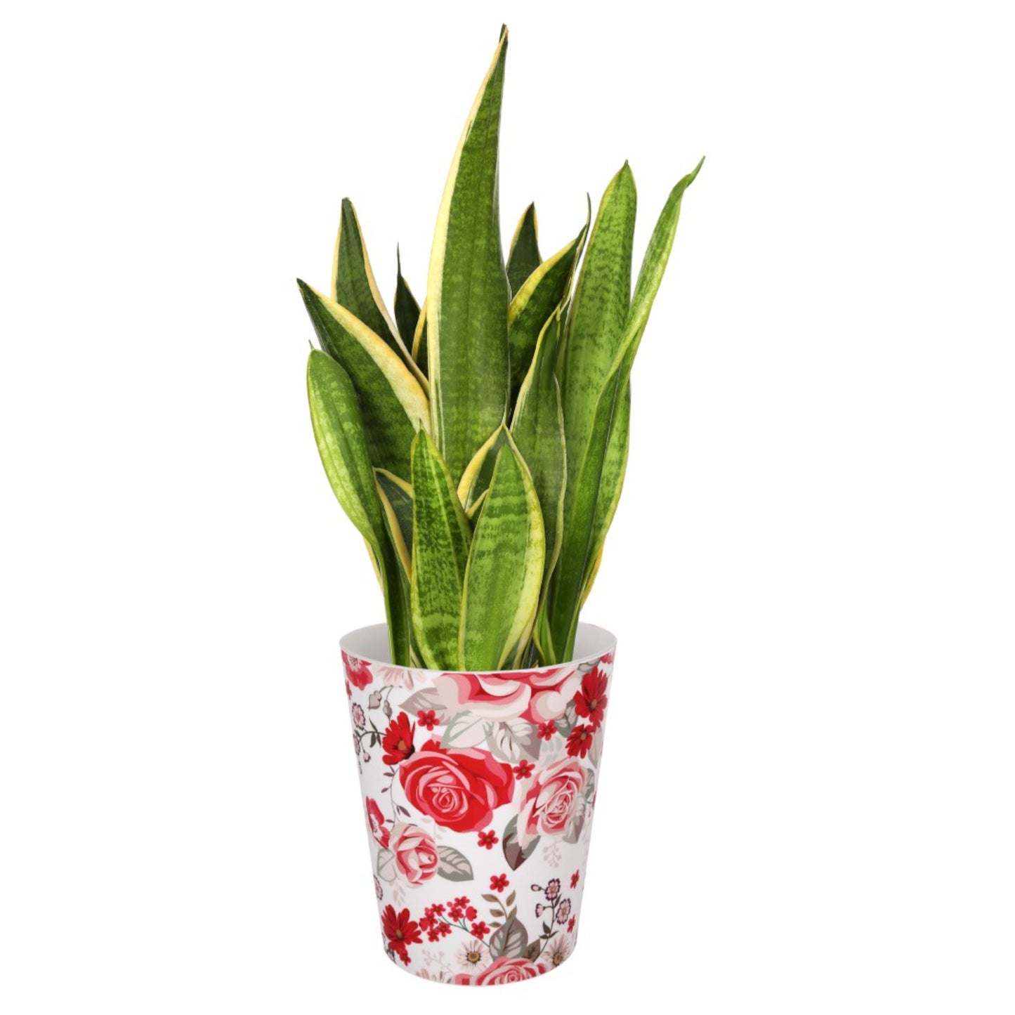 Plant Pots For Orchids 15.5cm Set Of 3 Exotic Pattern