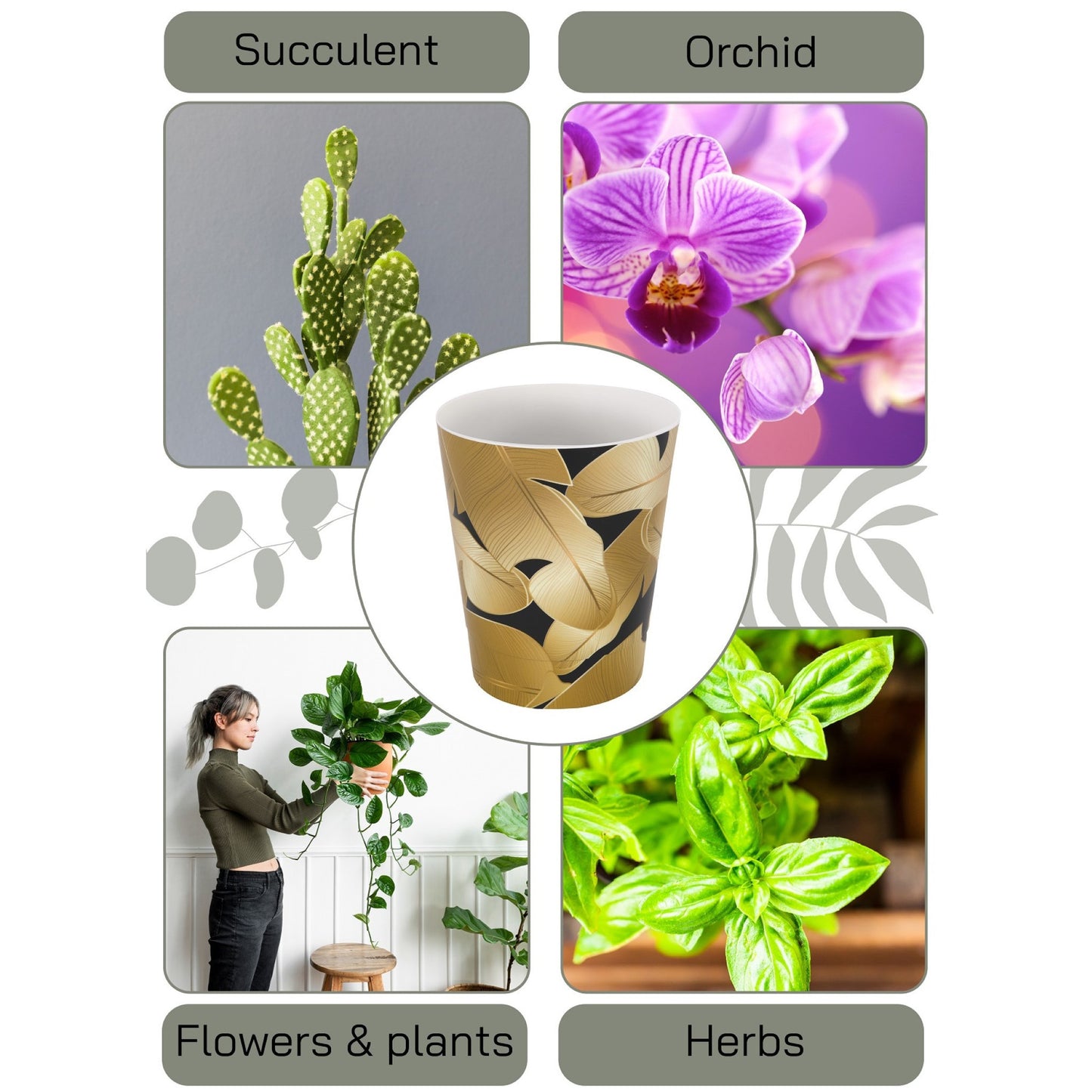 Plant Pots For Orchids Set Of 3 Exotic 13.5cm