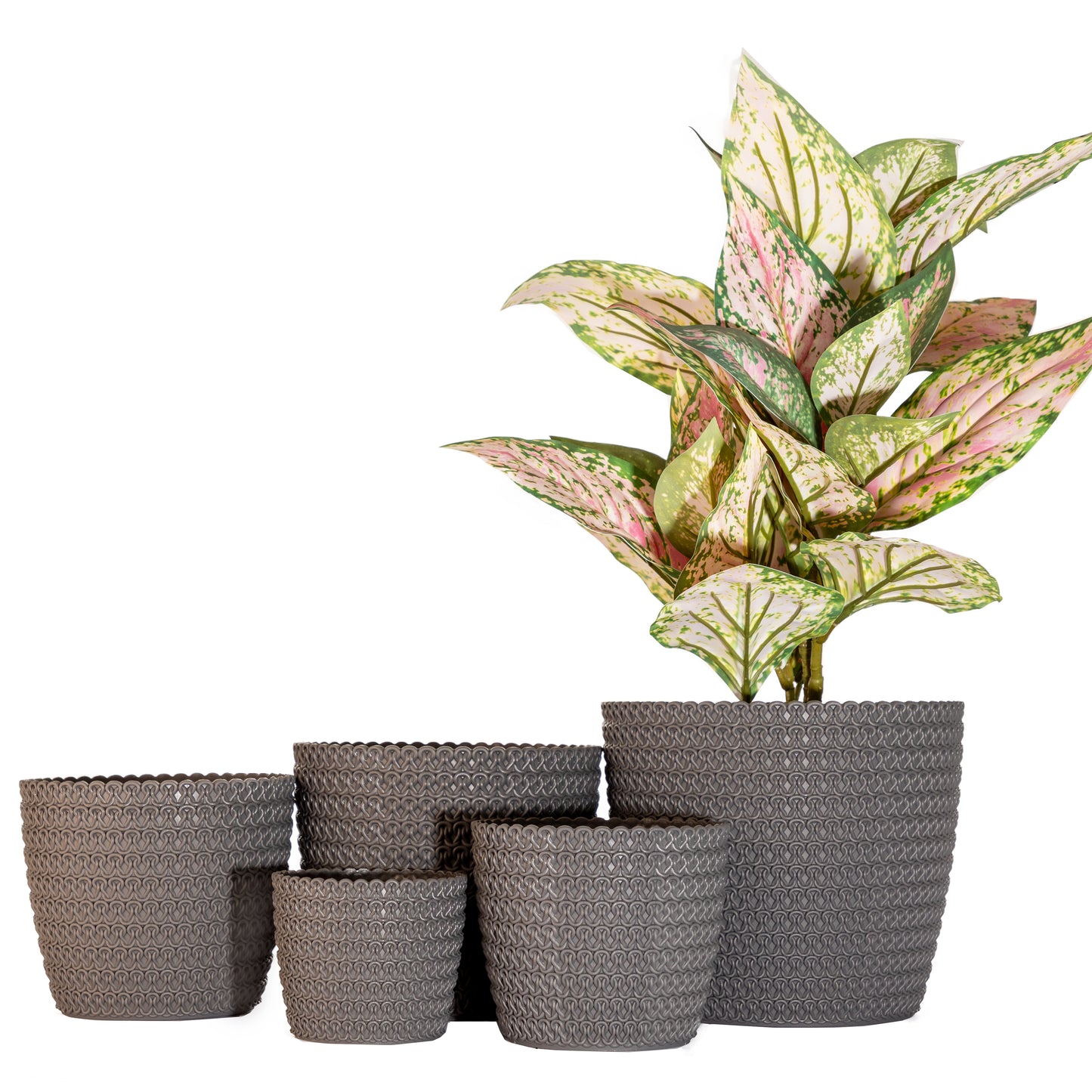 Plant Pots Indoor Jersey Set Of 5 Sizes : 11/14/16/18/21.5cm