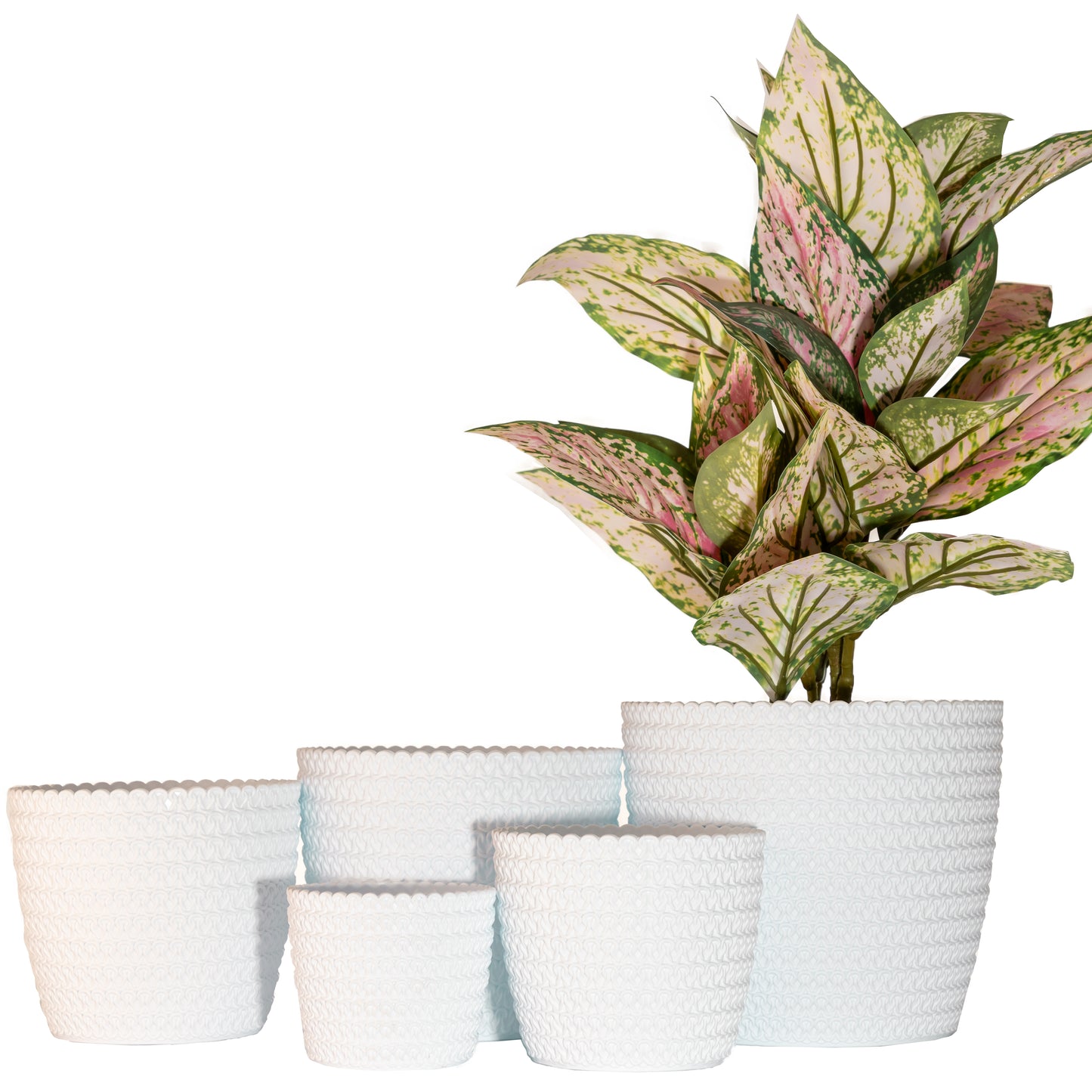 Plant Pots Indoor Jersey Set Of 5 Sizes : 11/14/16/18/21.5cm