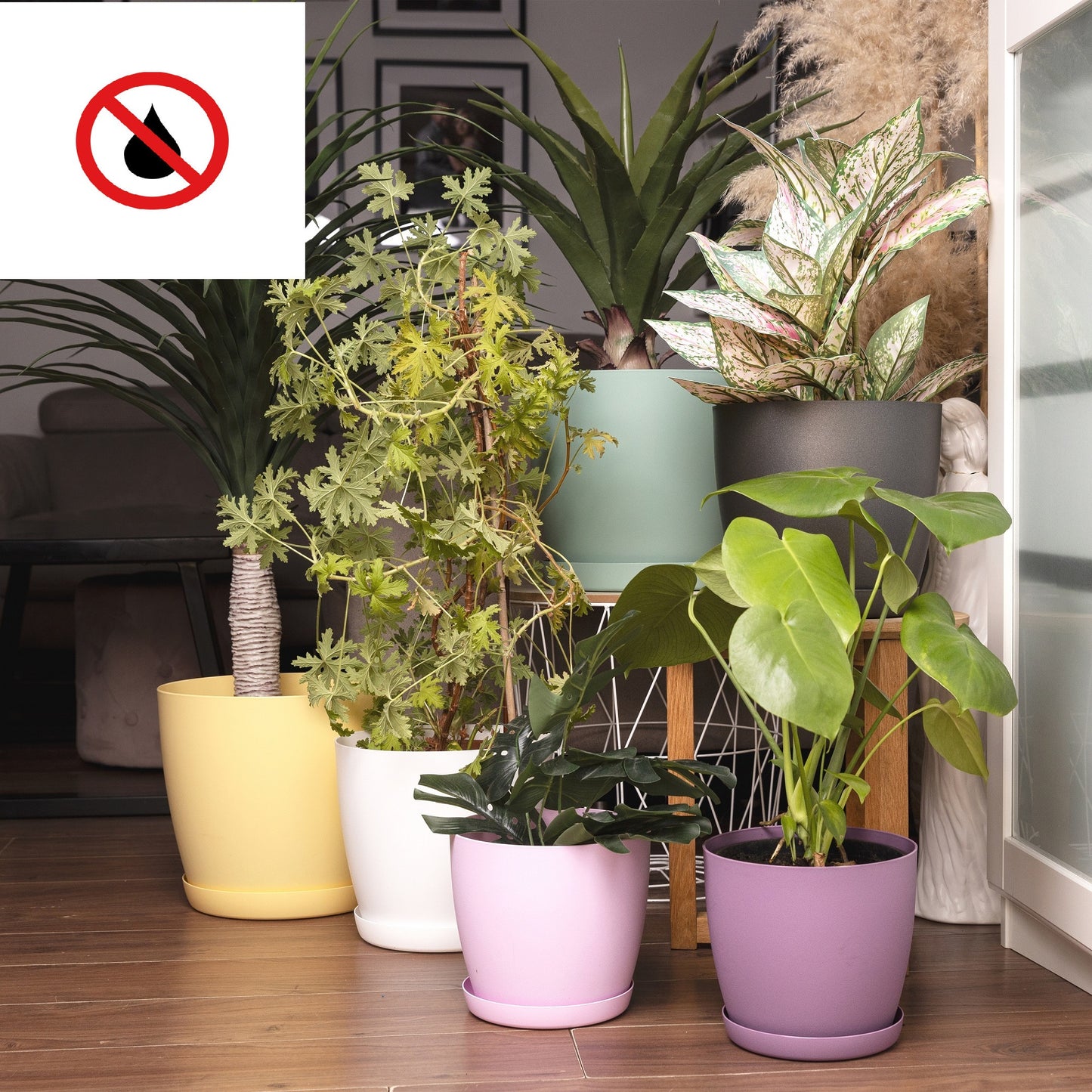 Plant Pots Indoor with Plant Saucer Flower Pots with Mat Surface and Plant Tray