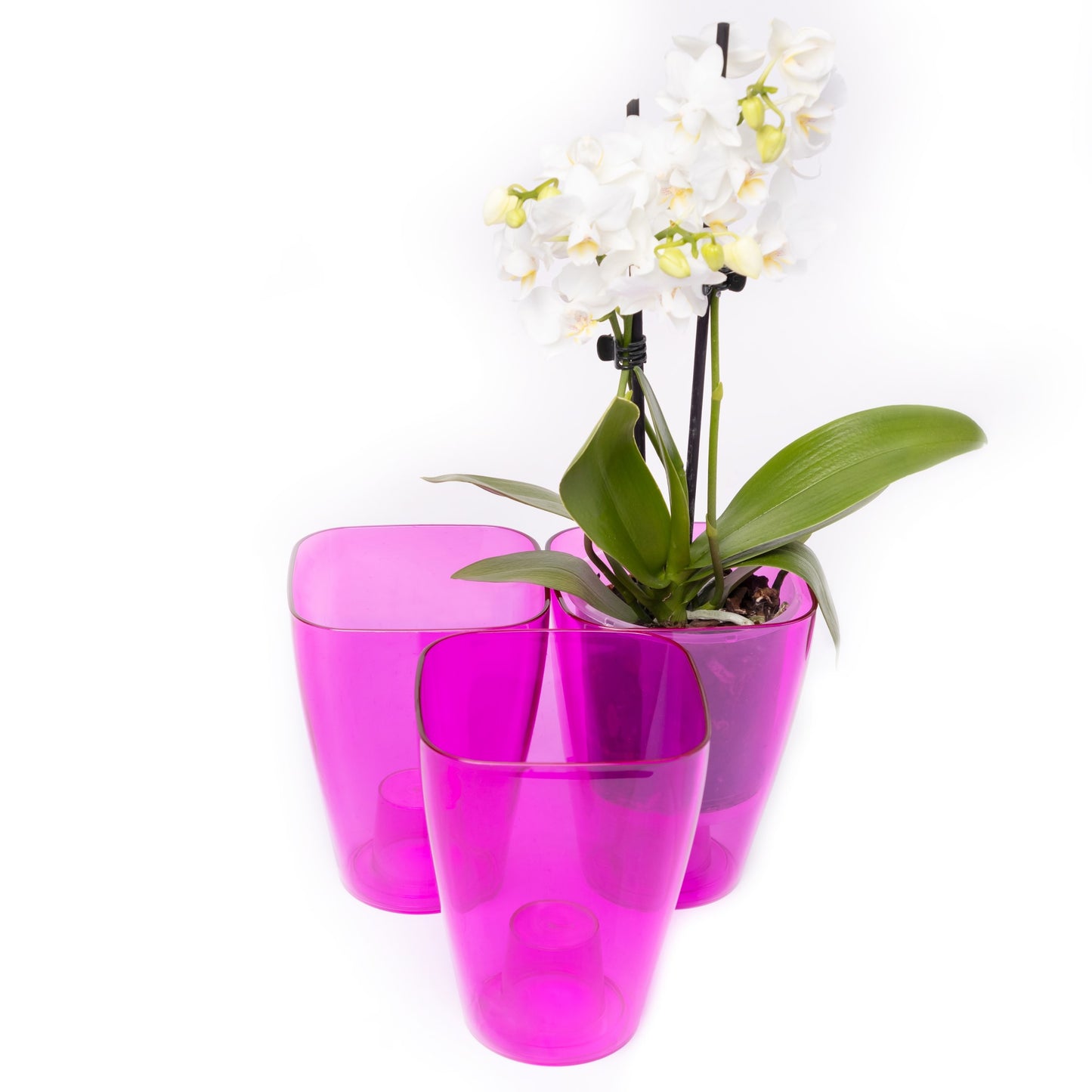 Plant Pots For Orchids Set Of 3 Transparent Square