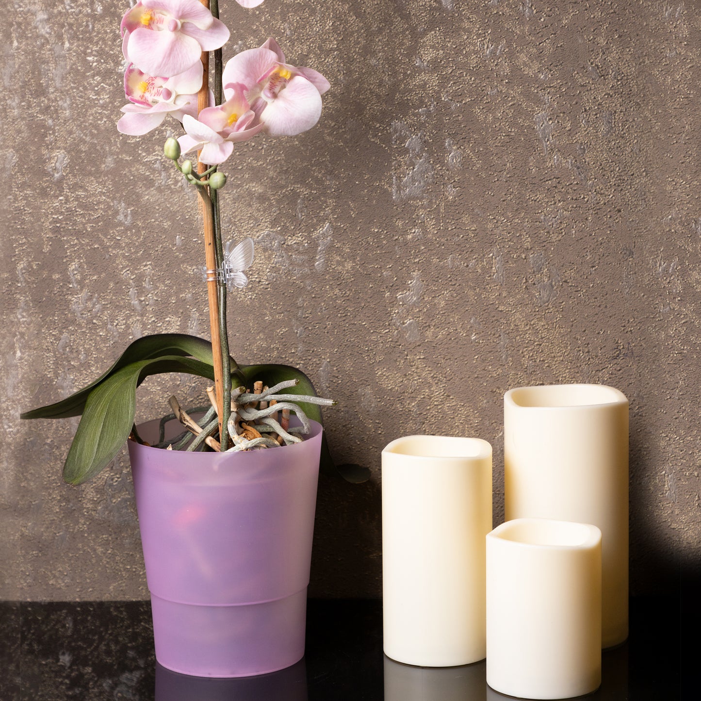 Plant Pots Indoor 12cm Diameter Set of 3 Plastic Plant Pot For Orchids Half Transparent
