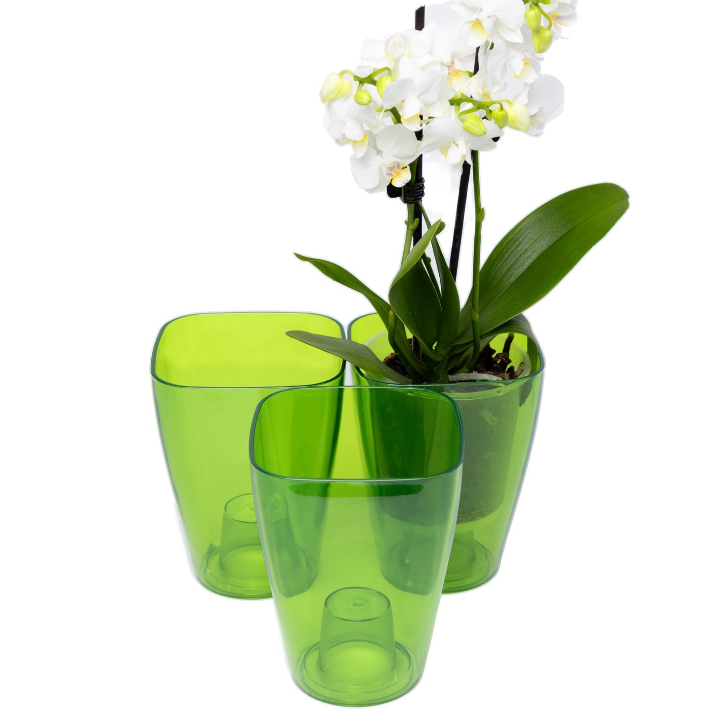 Plant Pots For Orchids Set Of 3 Transparent Square