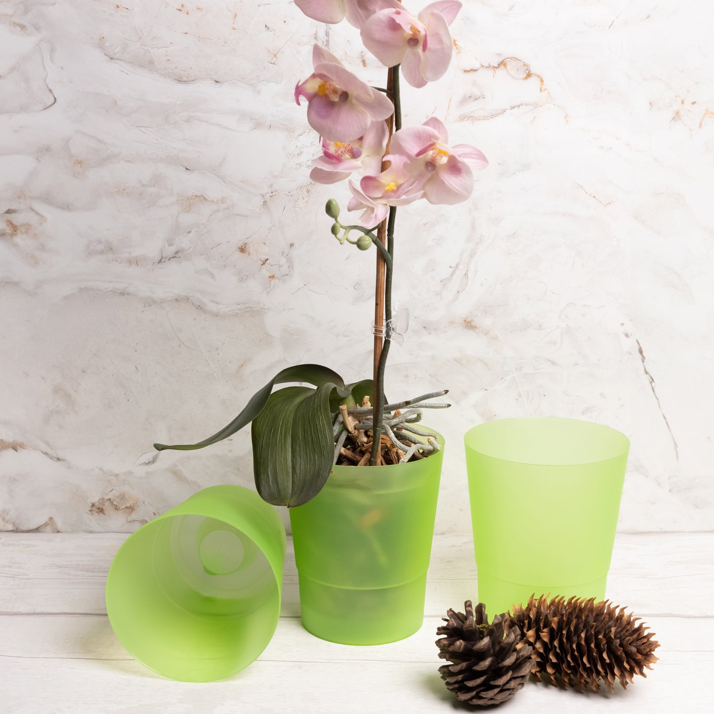Plant Pots Indoor 12cm Diameter Set of 3 Plastic Plant Pot For Orchids Half Transparent
