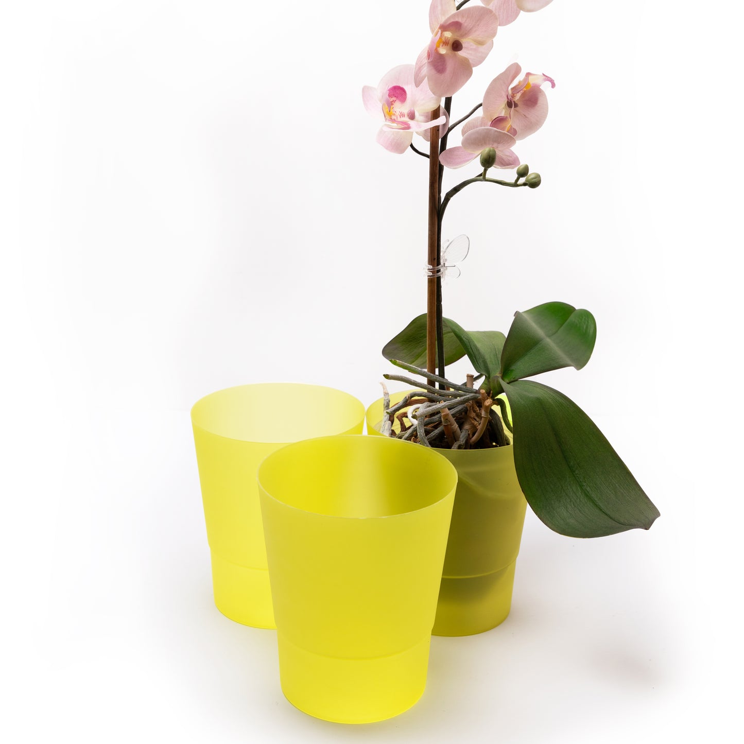 Plant Pots Indoor 12cm Diameter Set of 3 Plastic Plant Pot For Orchids Half Transparent
