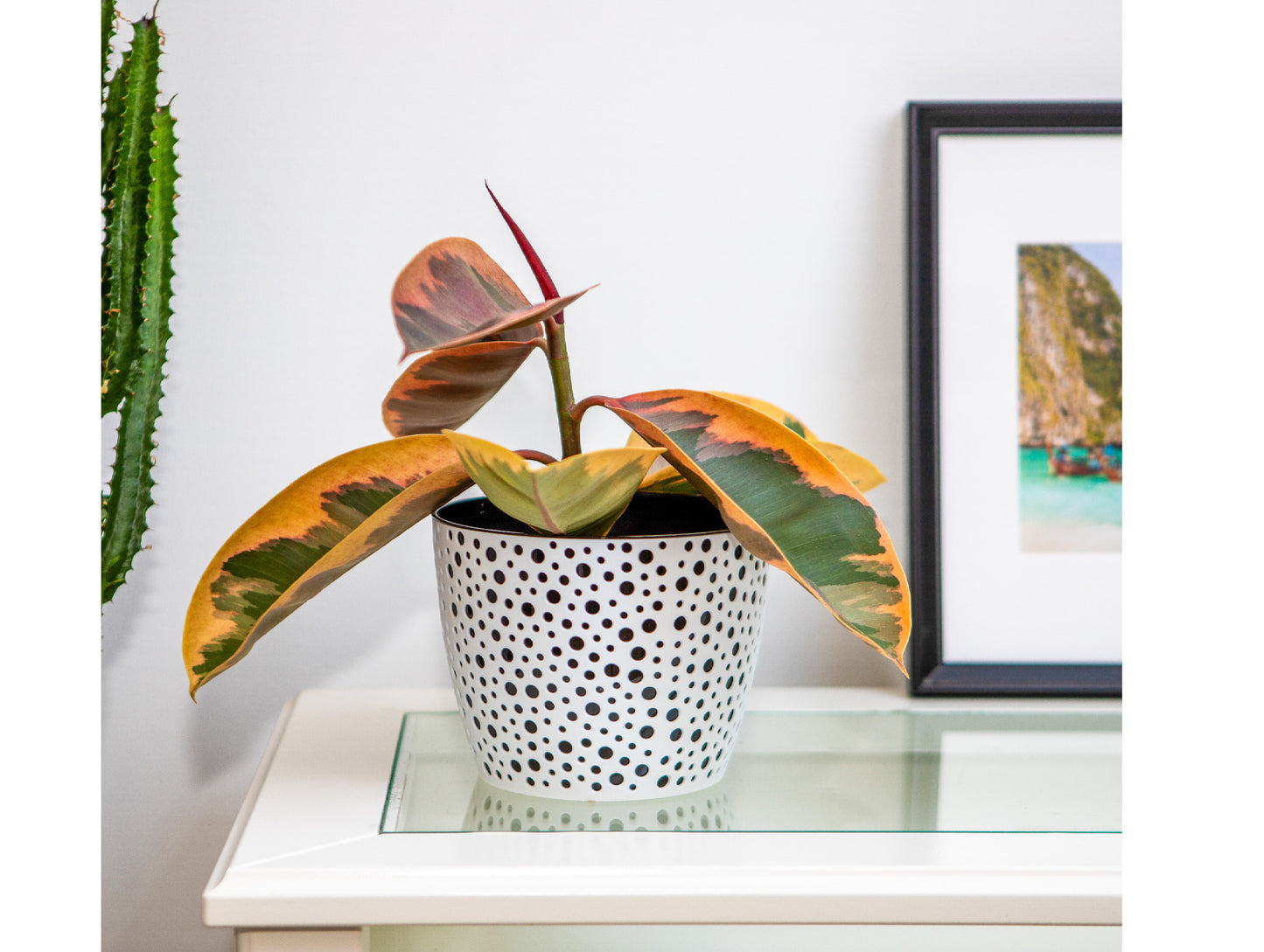 Plant Pots Indoor Vero Set of 3