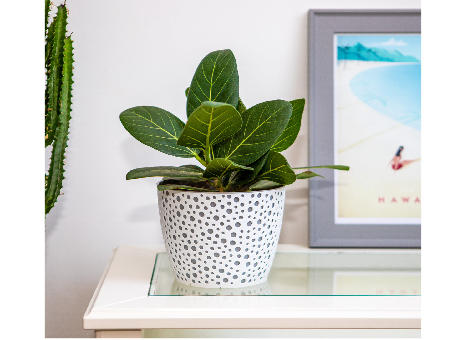Plant Pots Indoor Vero Set of 3