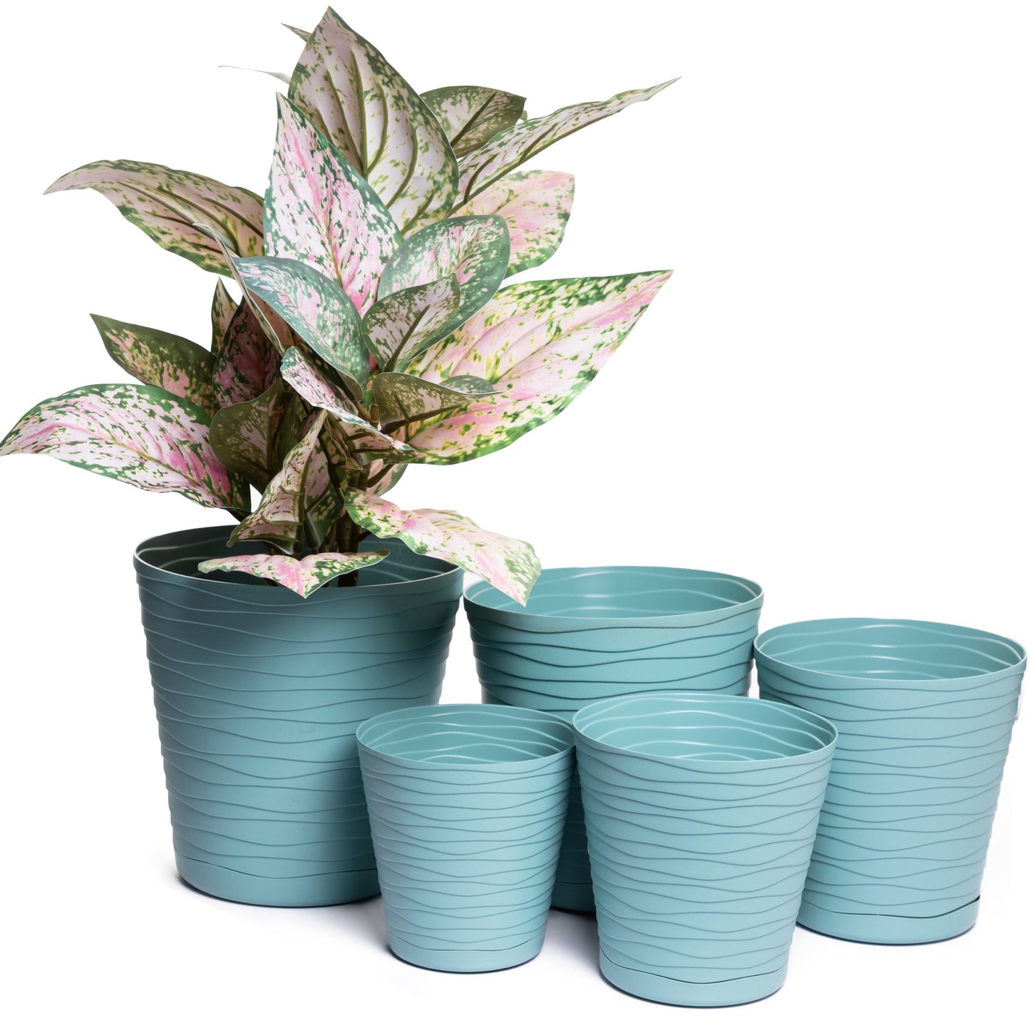 Plant Pots Indoor Tedi Set Of 5 Sizes 13/15/17/19/21cm