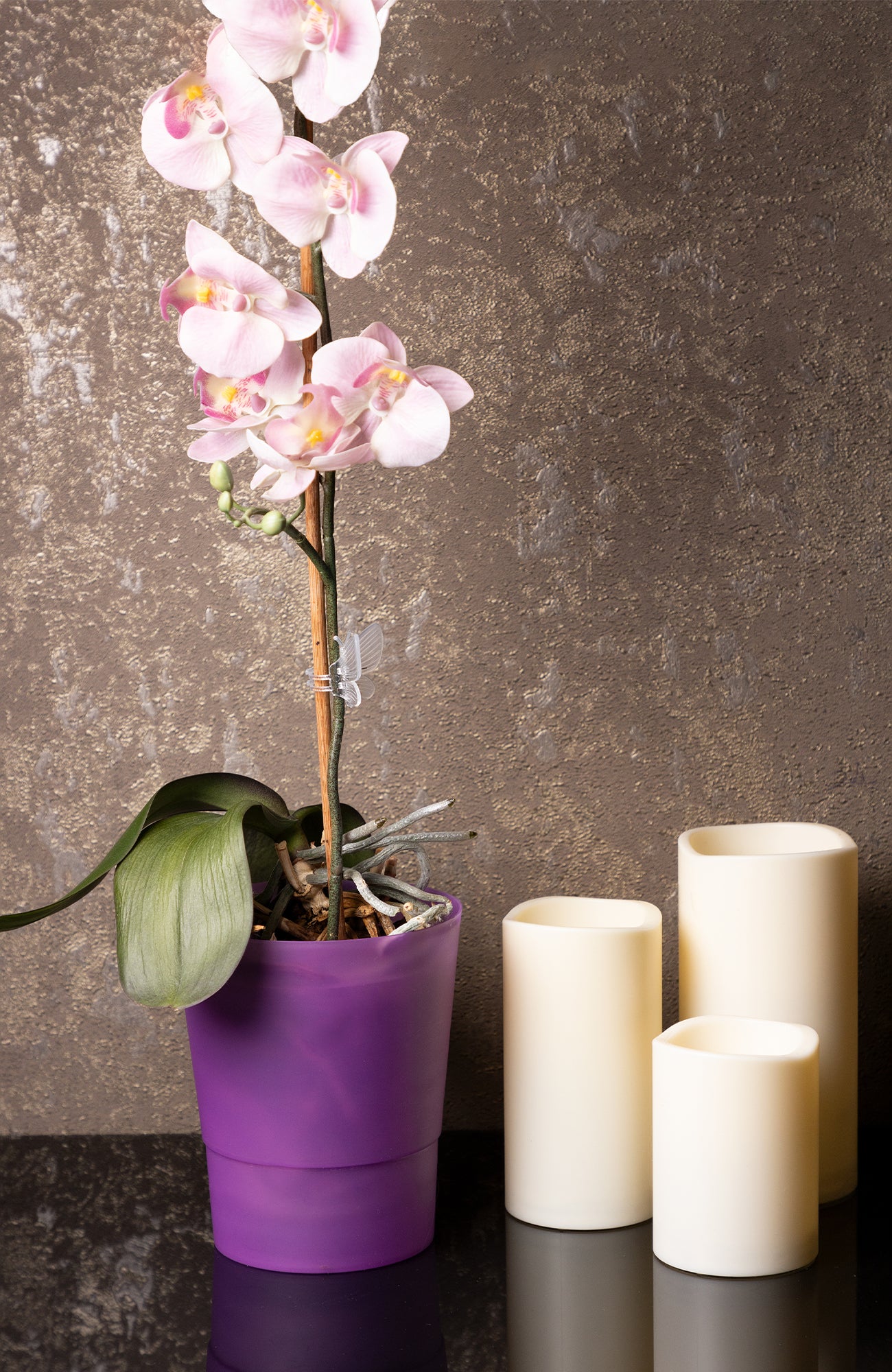 Plant Pots Indoor 12cm Diameter Set of 3 Plastic Plant Pot For Orchids Half Transparent